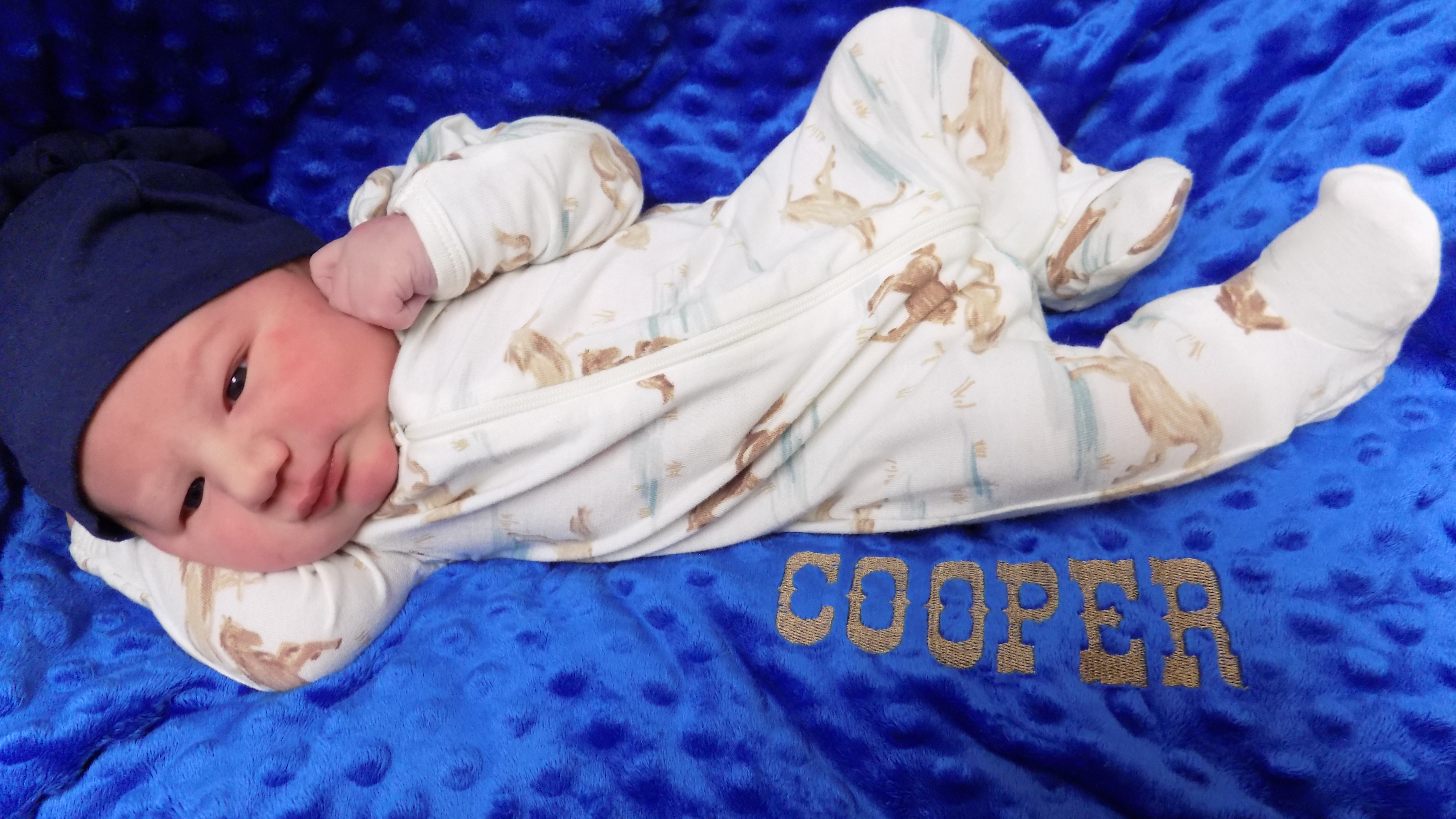 Cooper Lee