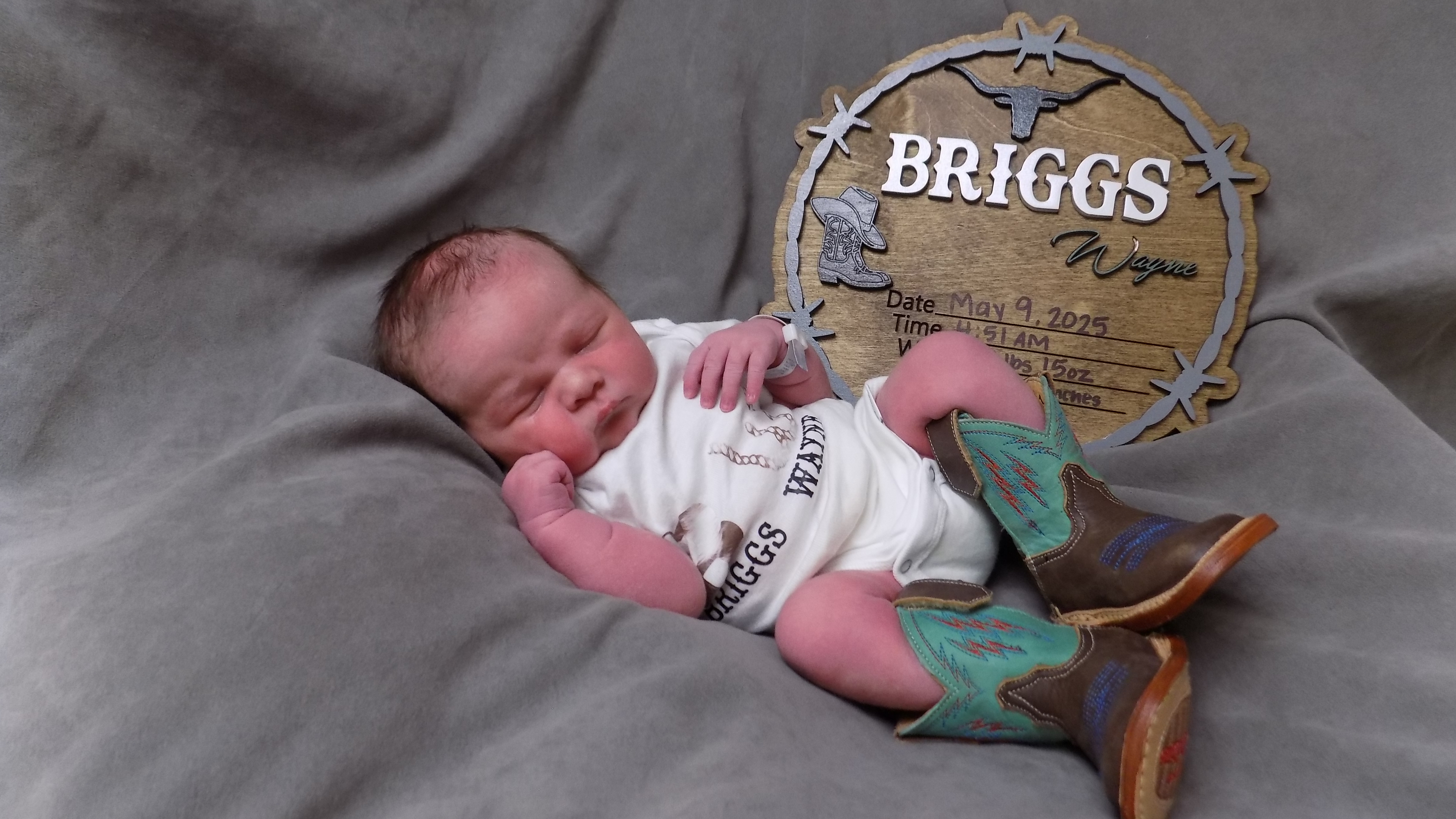 Briggs Wayne