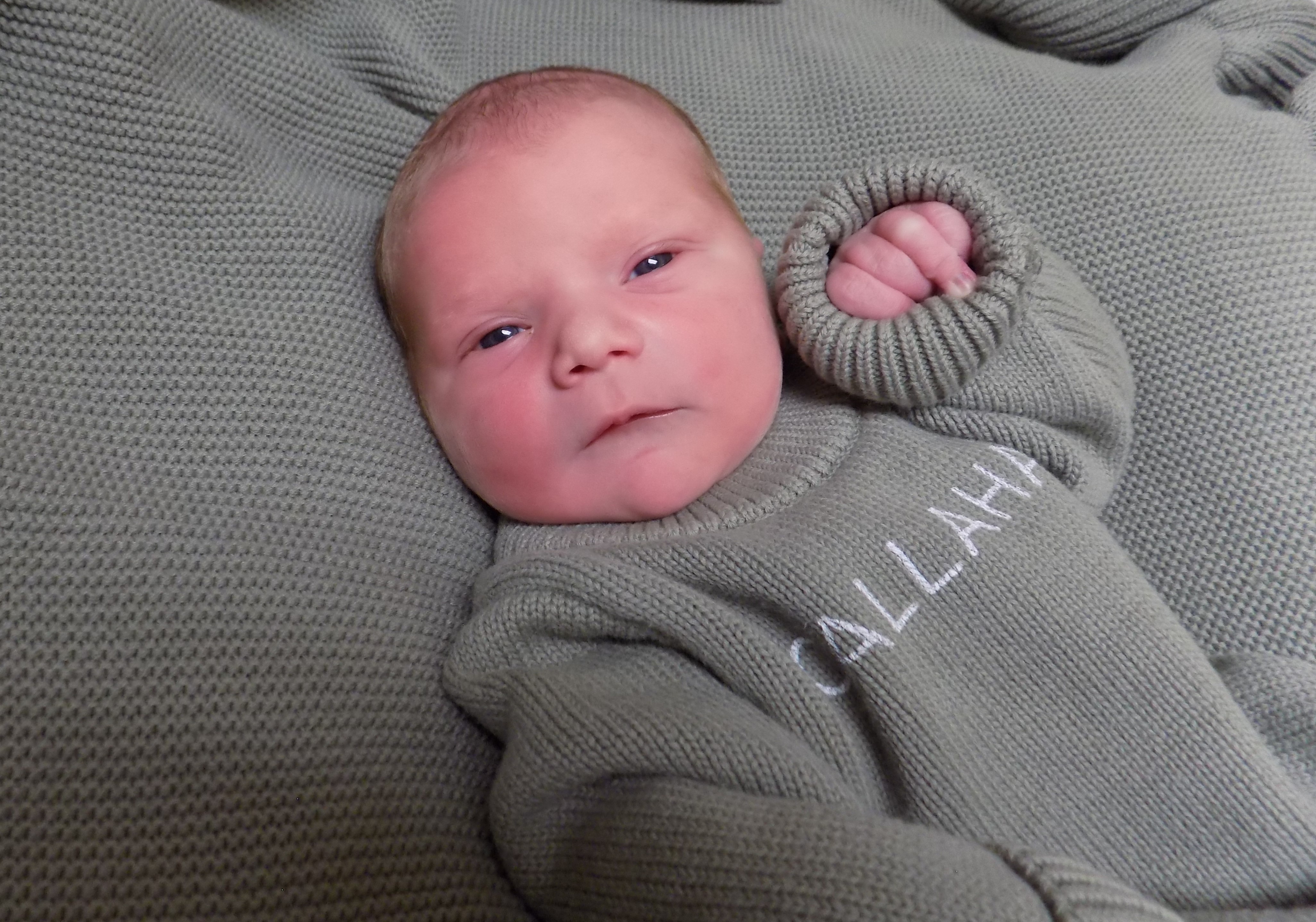 Callahan Richard