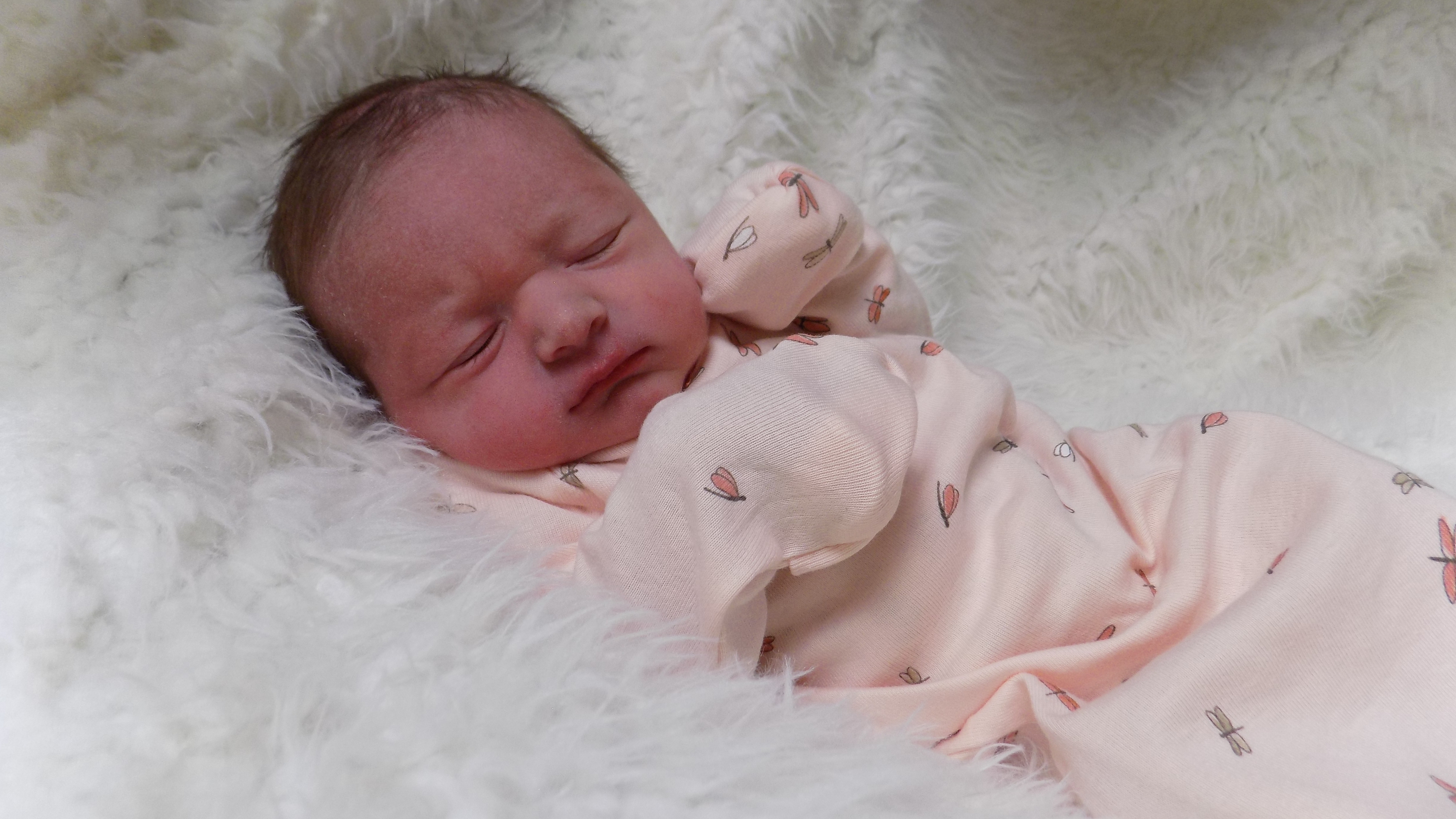 Zayin 06.05.25