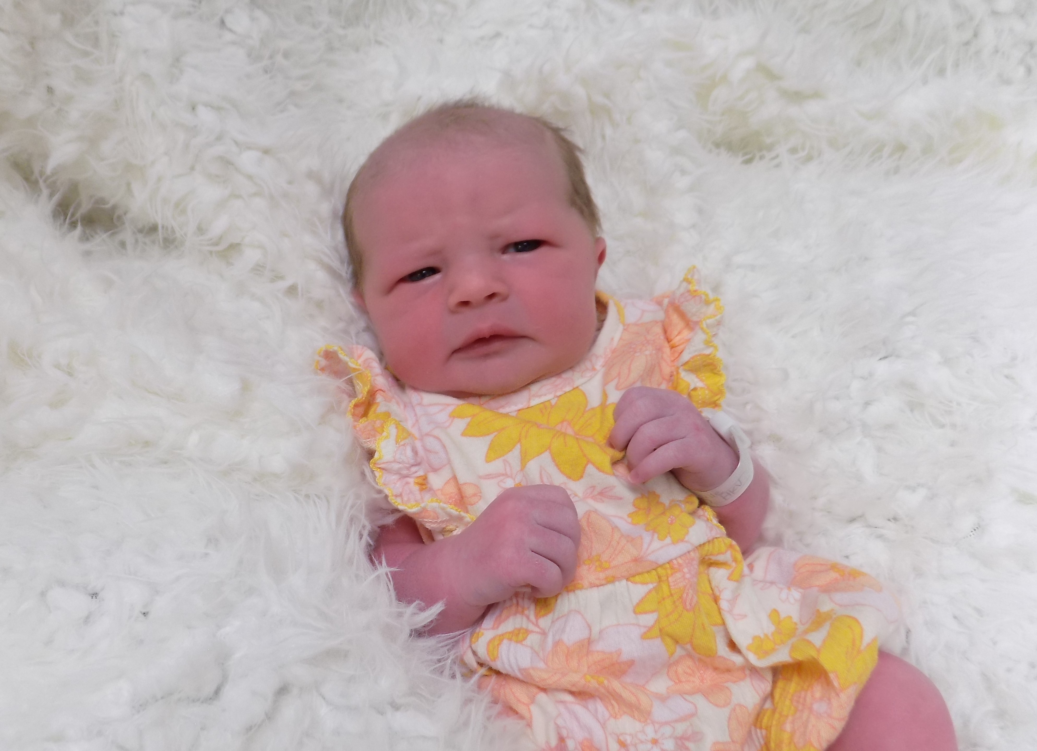 Wrenlie Jean