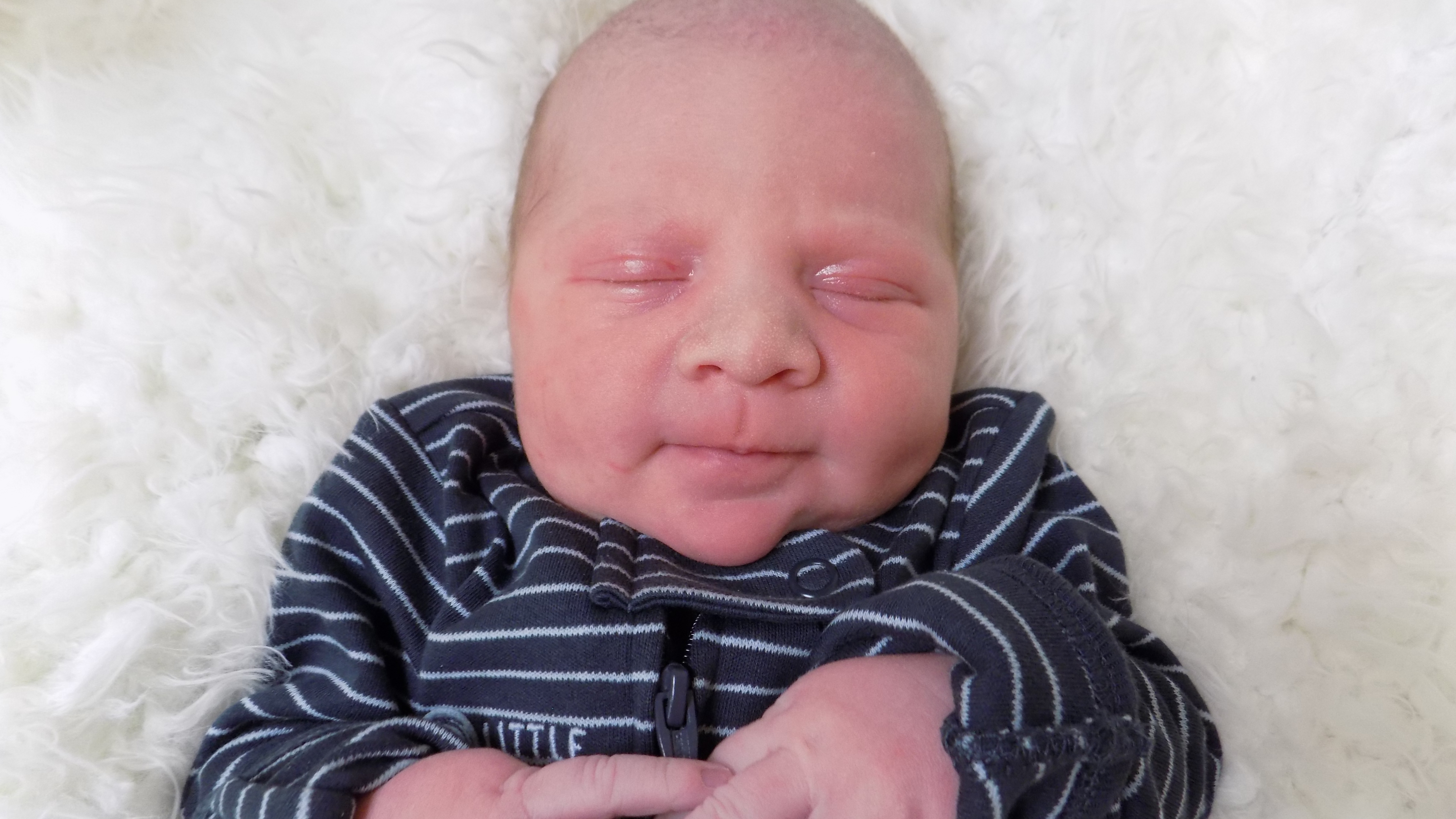 Ledger Nyell