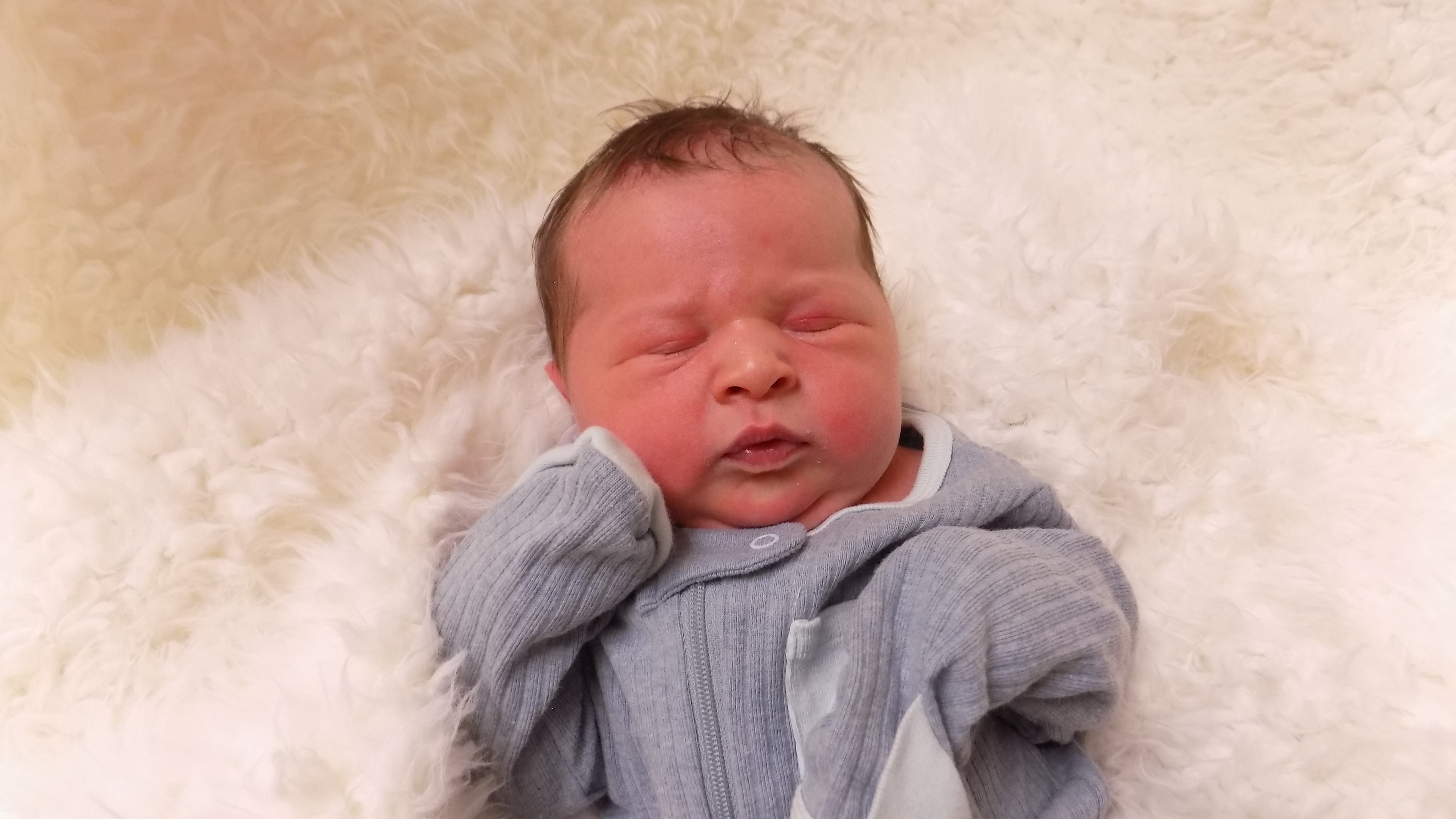 Reid Harrison 10.13.25