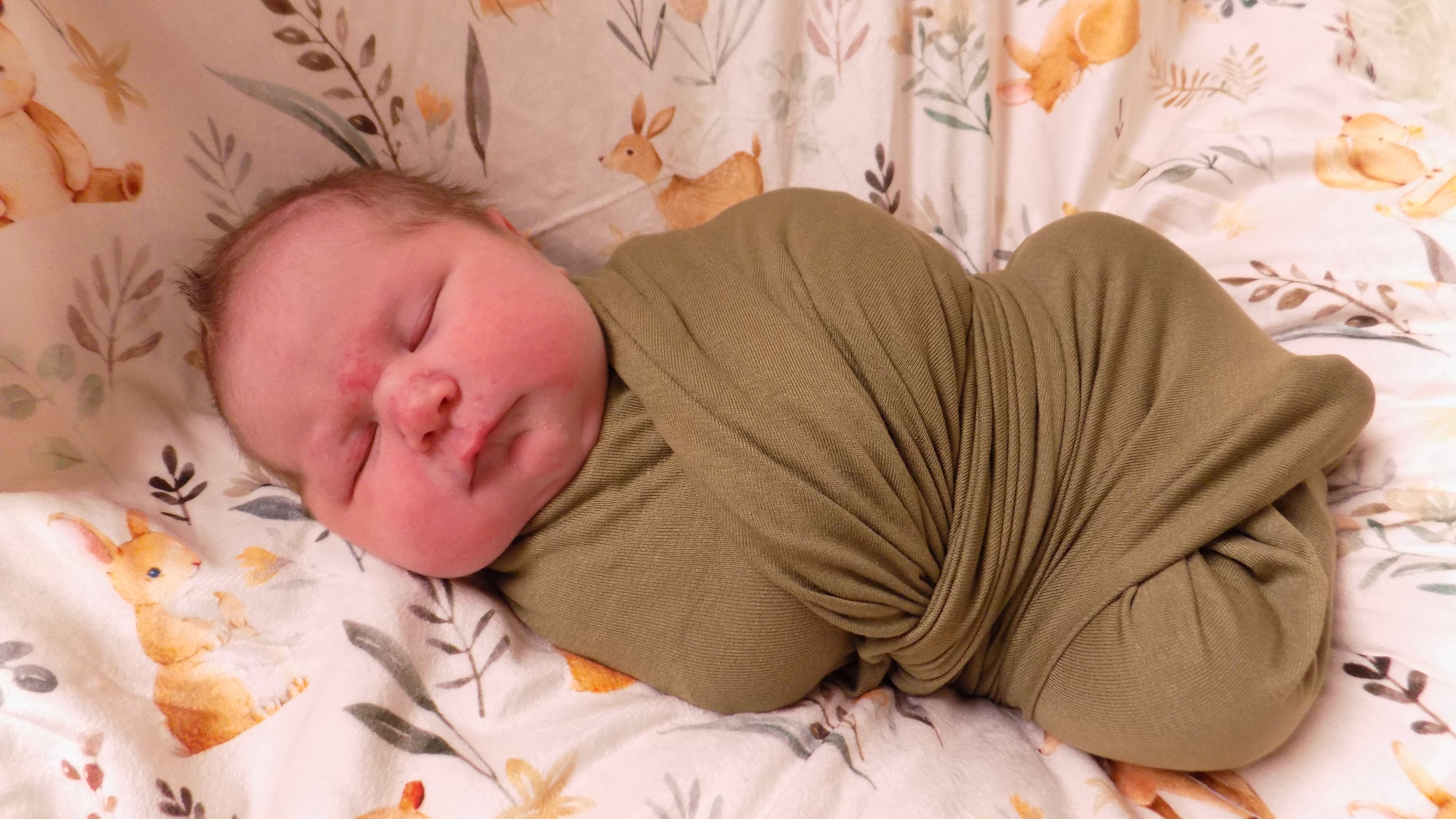 Coleman Wilford 1.27.26