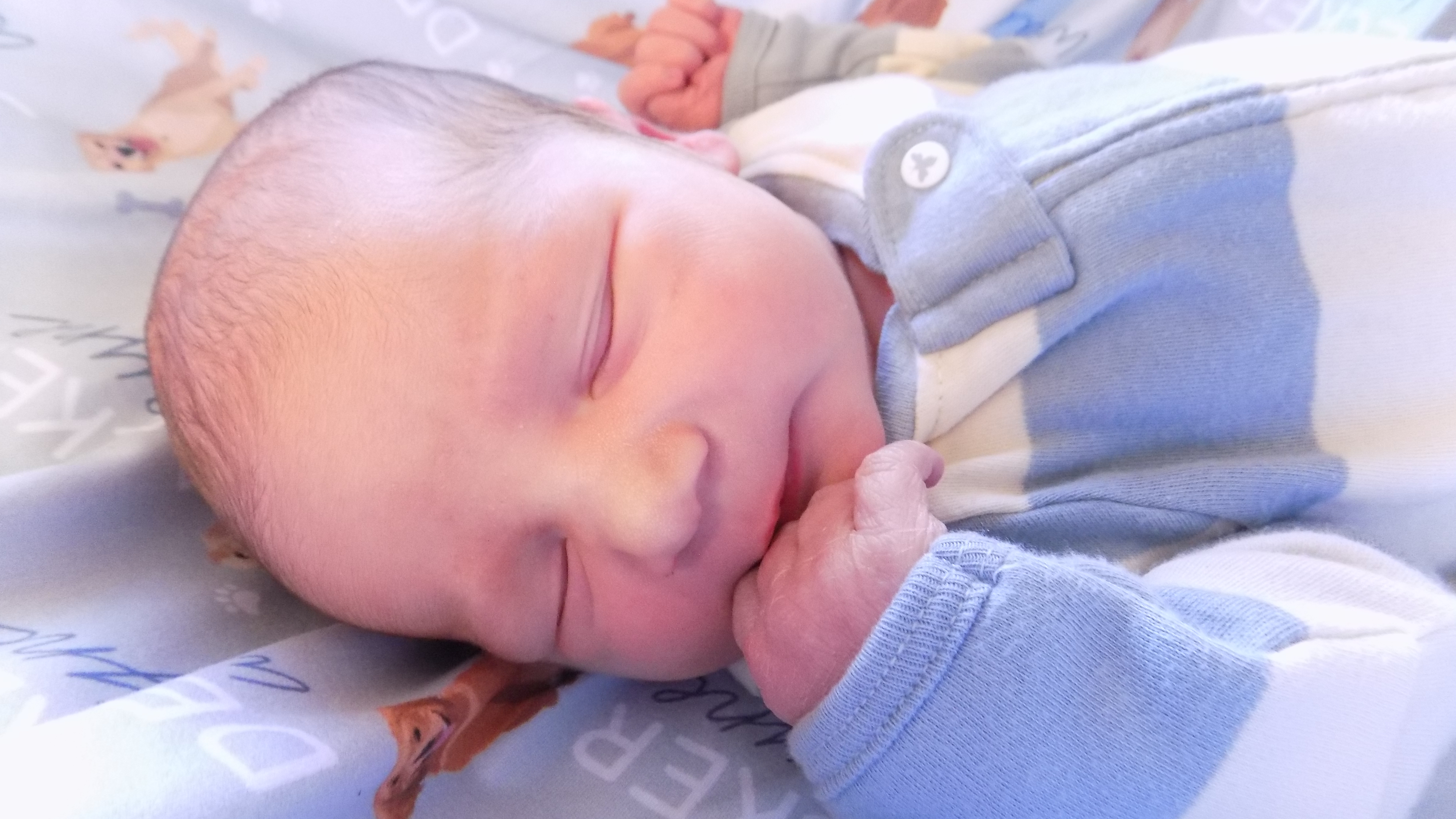 Decker Wayne 1.14.26