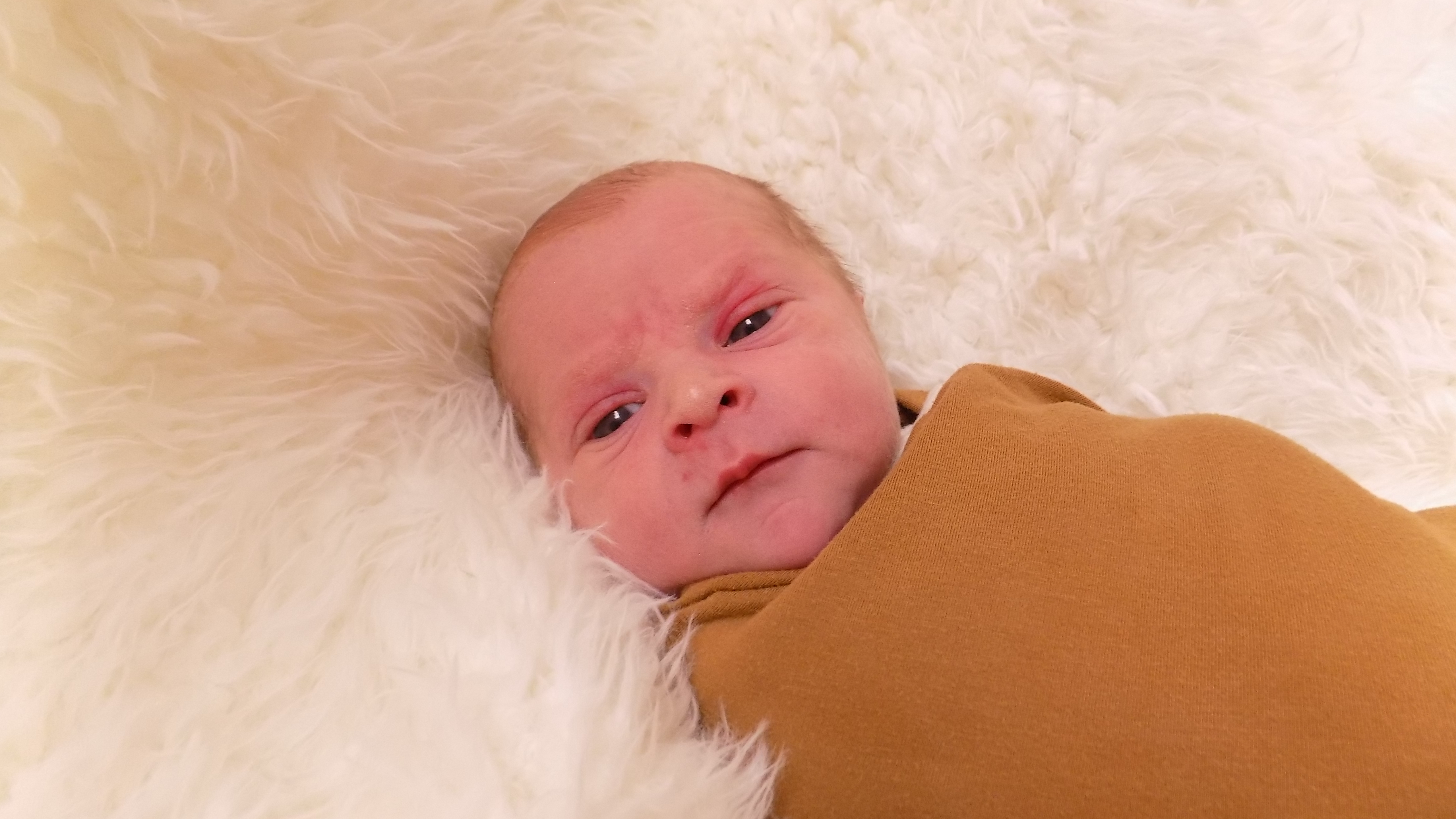 Trew Adriel 12.31.25