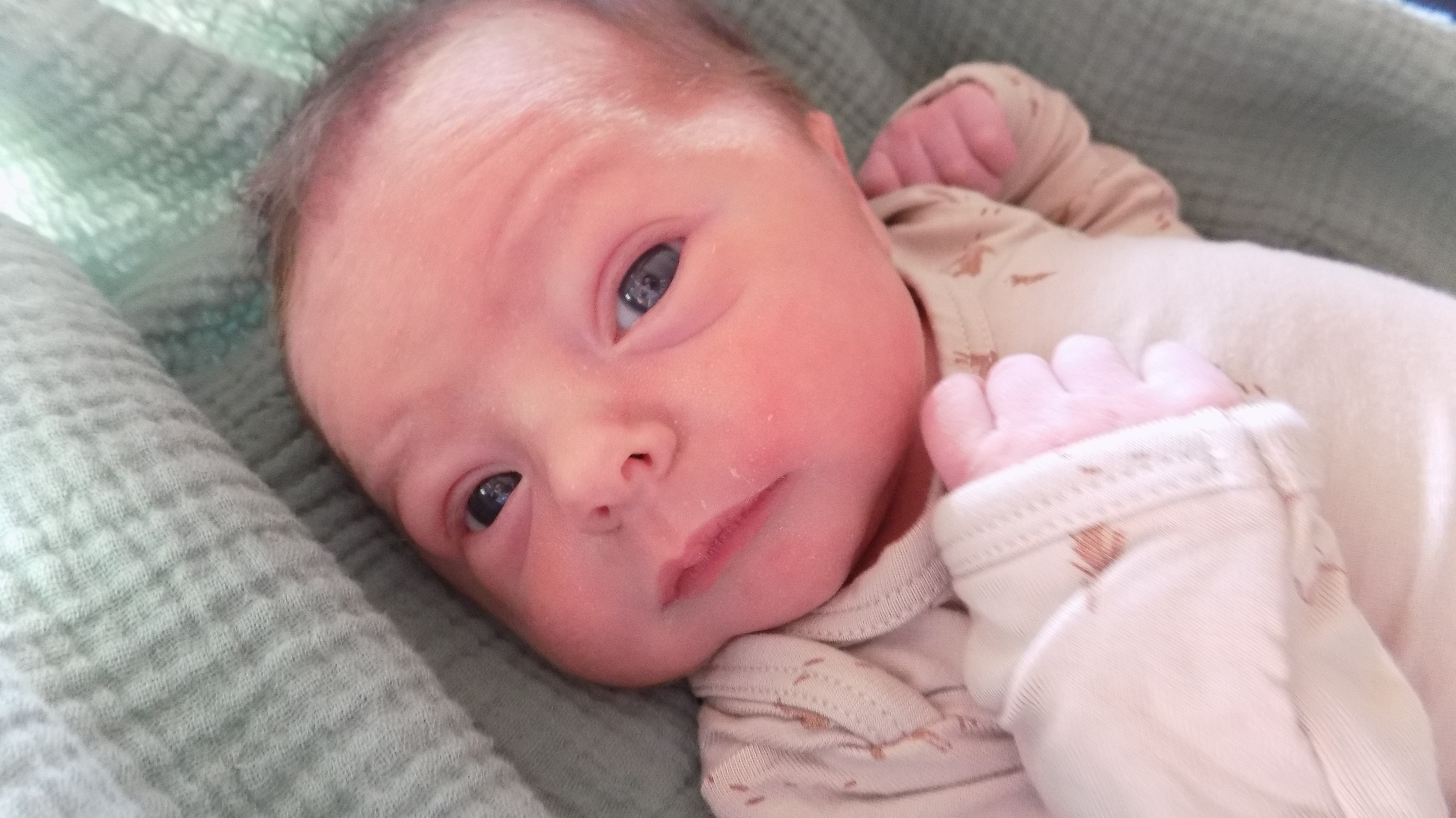 Tucker Jennings 1.10.26