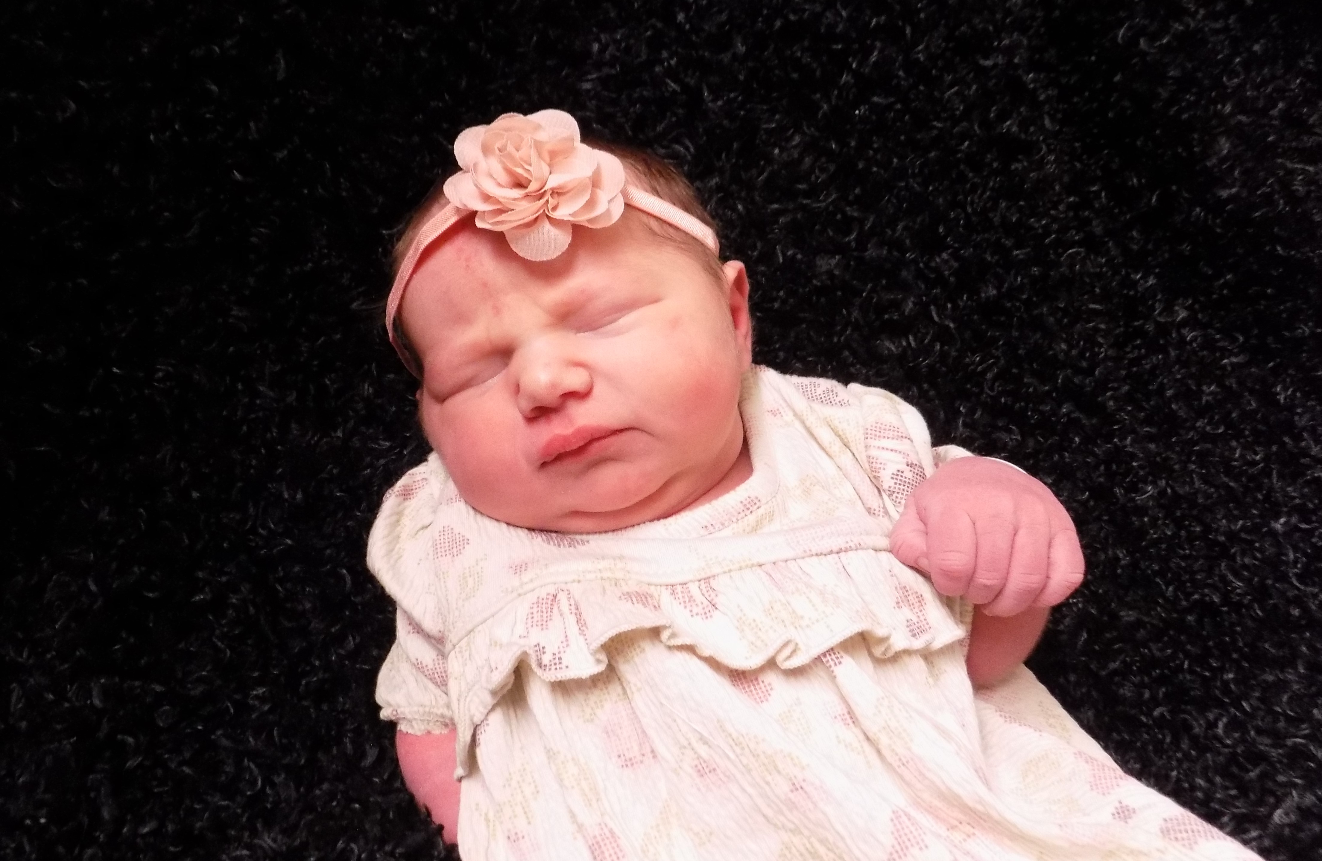 Willow Everly 1.15.26