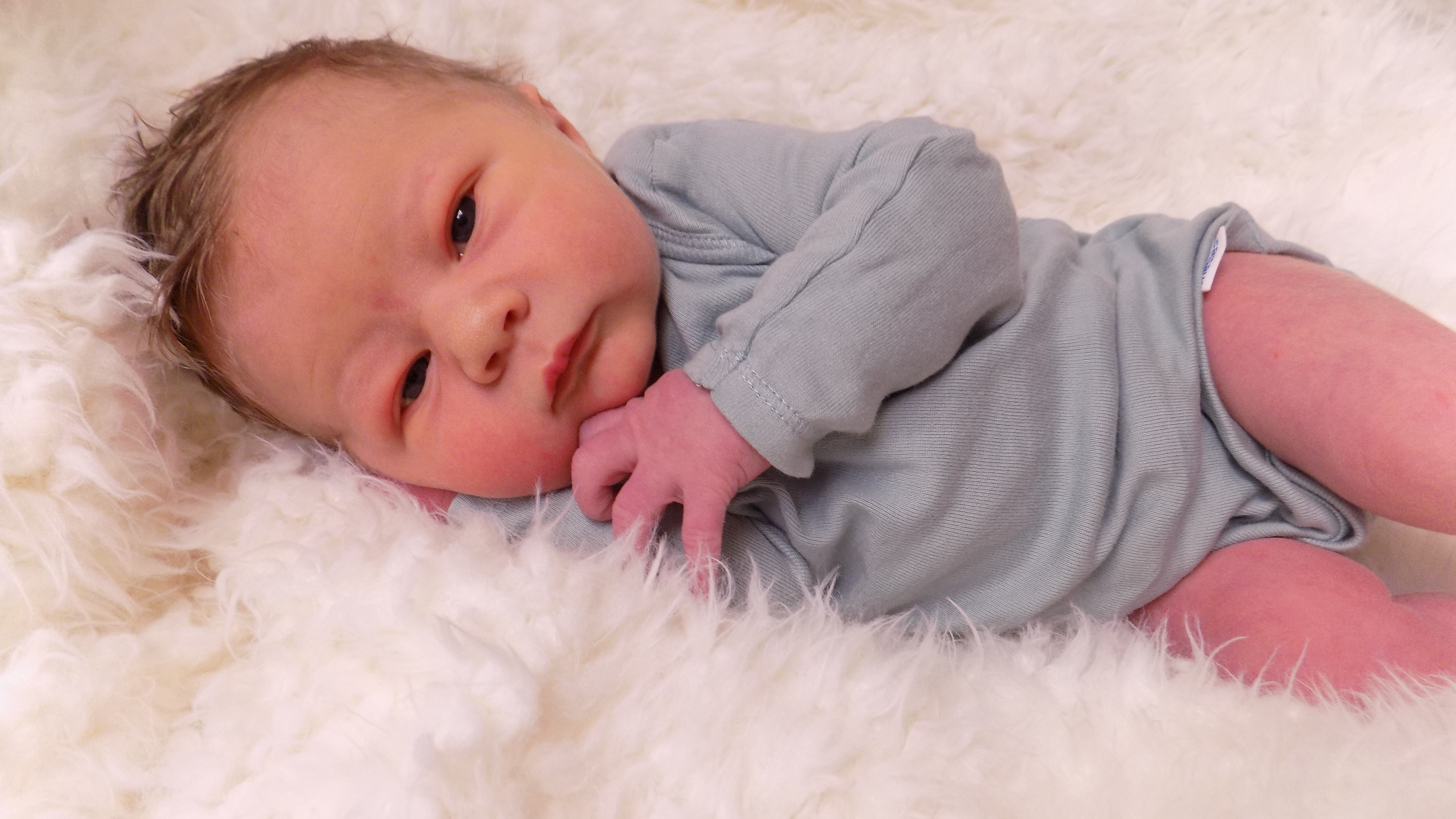 Alexander James 2.21.26