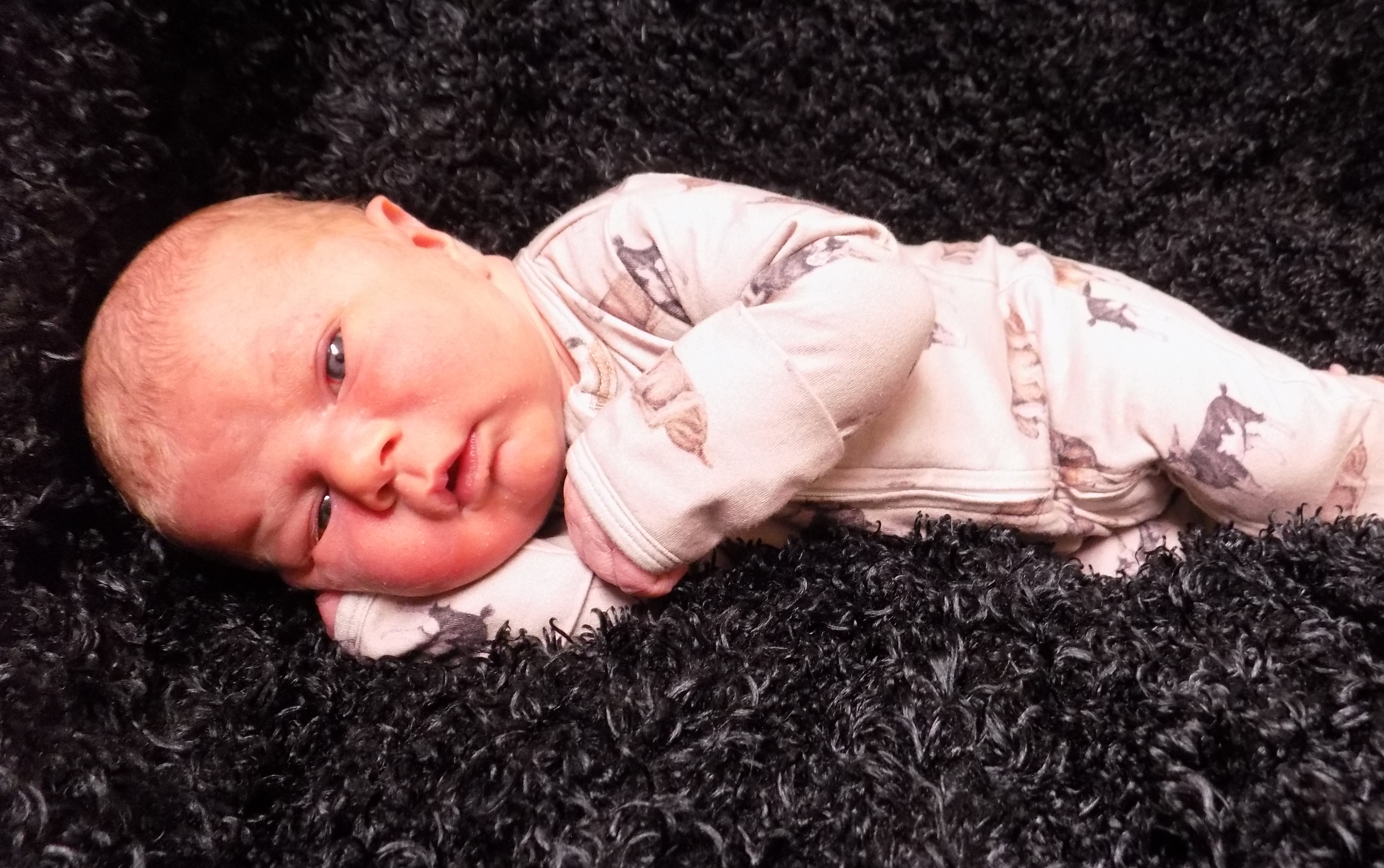 Benjamin Michael 2.9.26