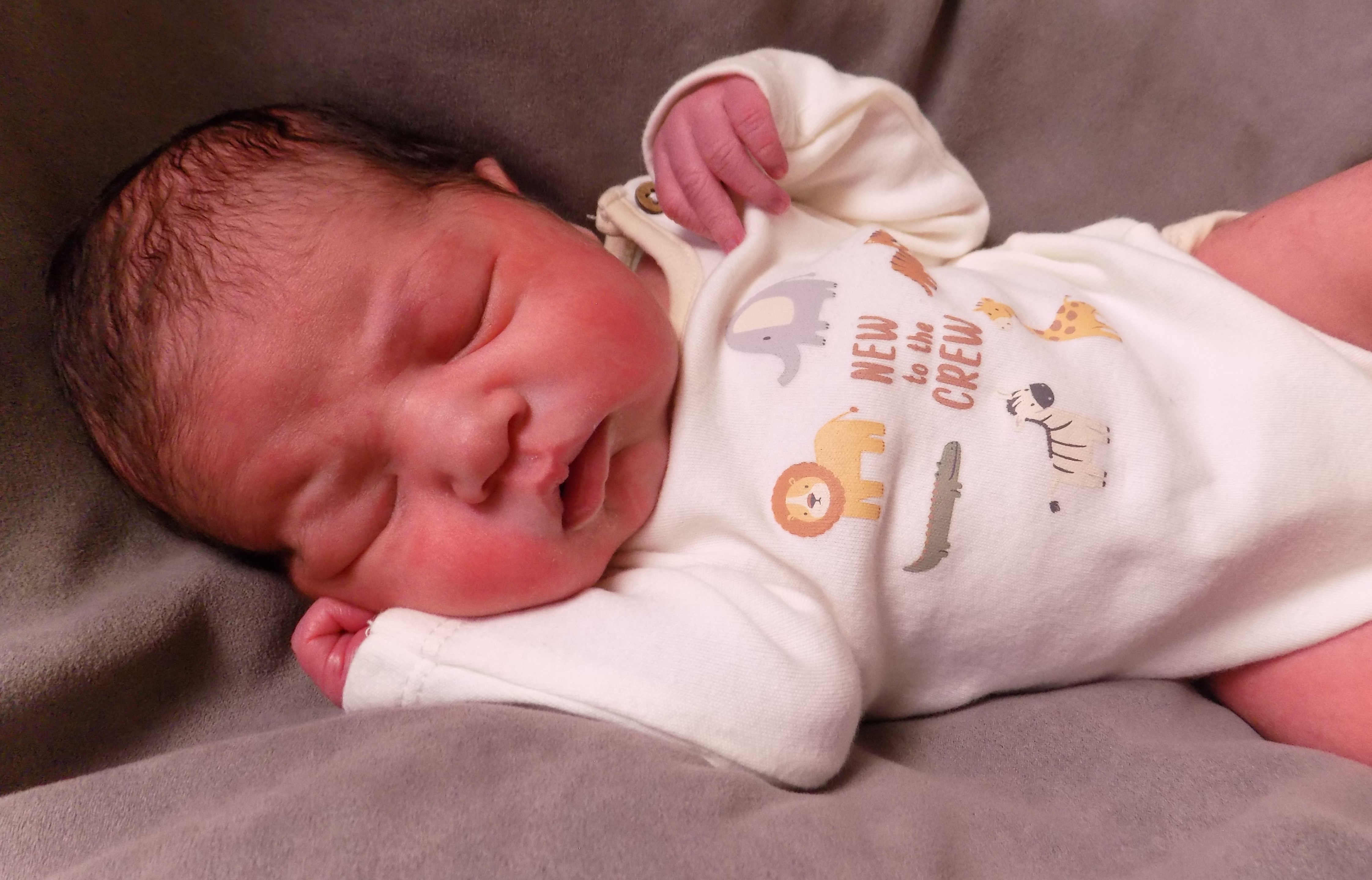 Brandon Ezequiel 2.22.26