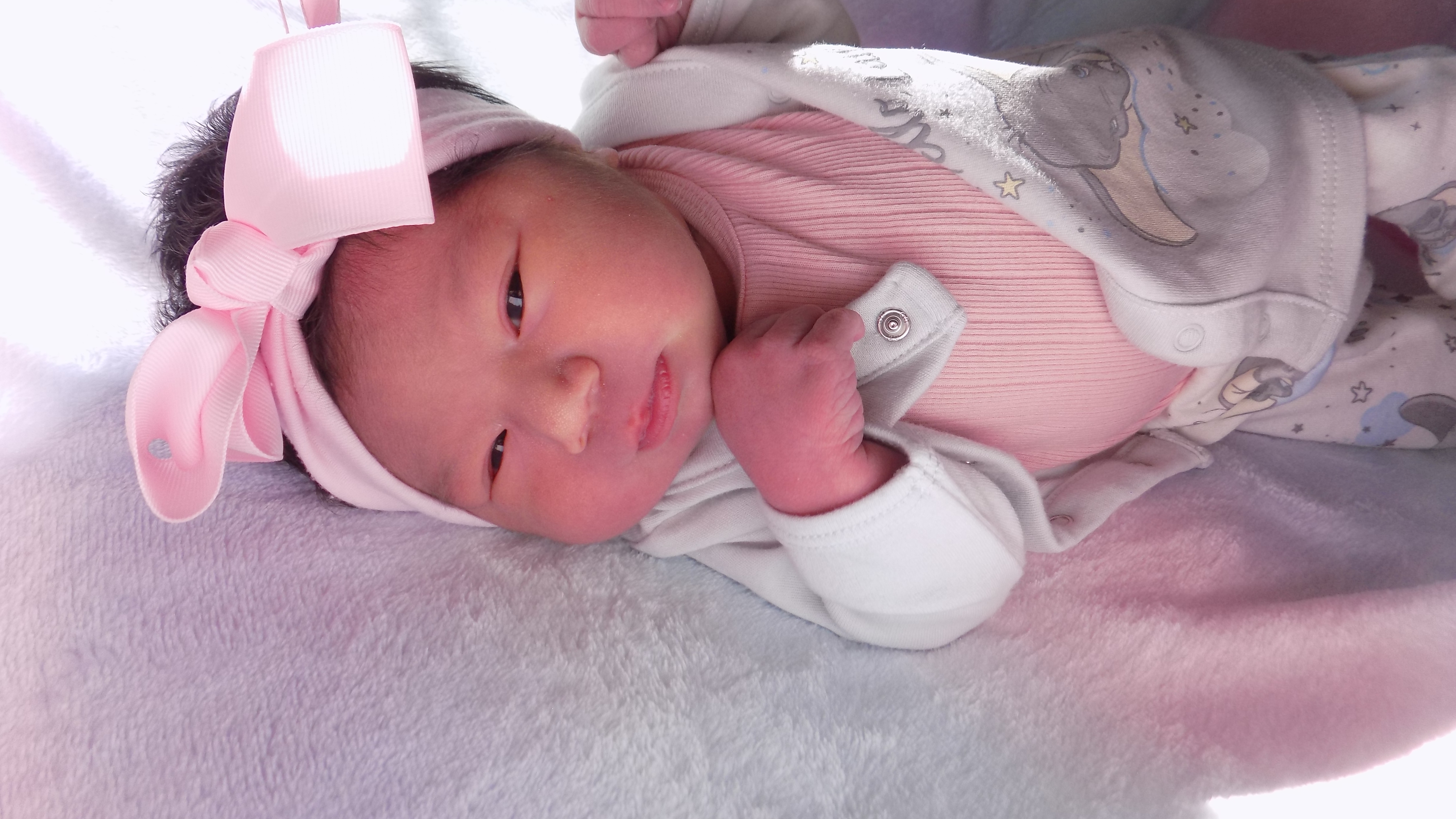 Elliott Alaina 2.21.26