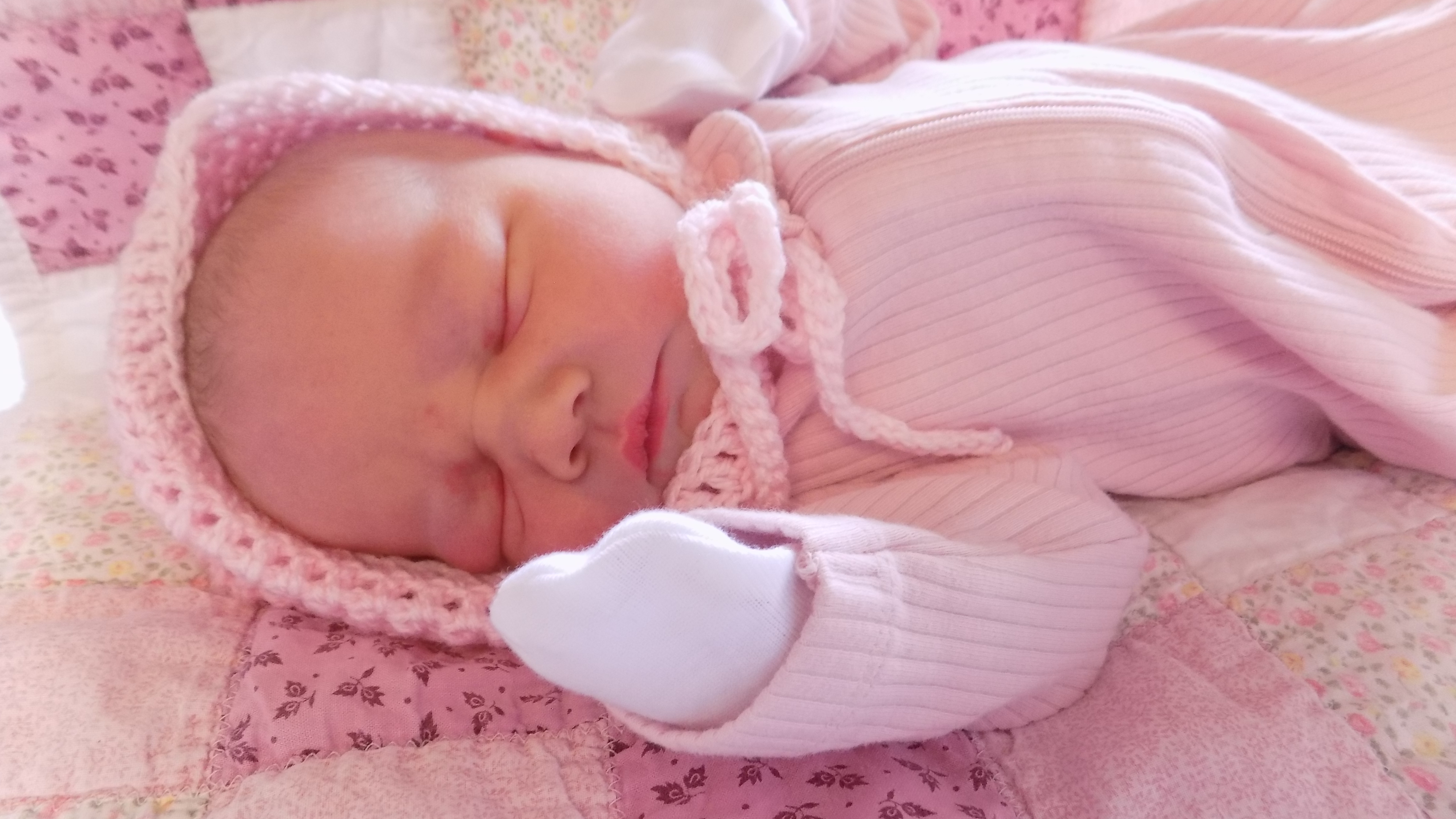 Joycie Viola 2.23.26