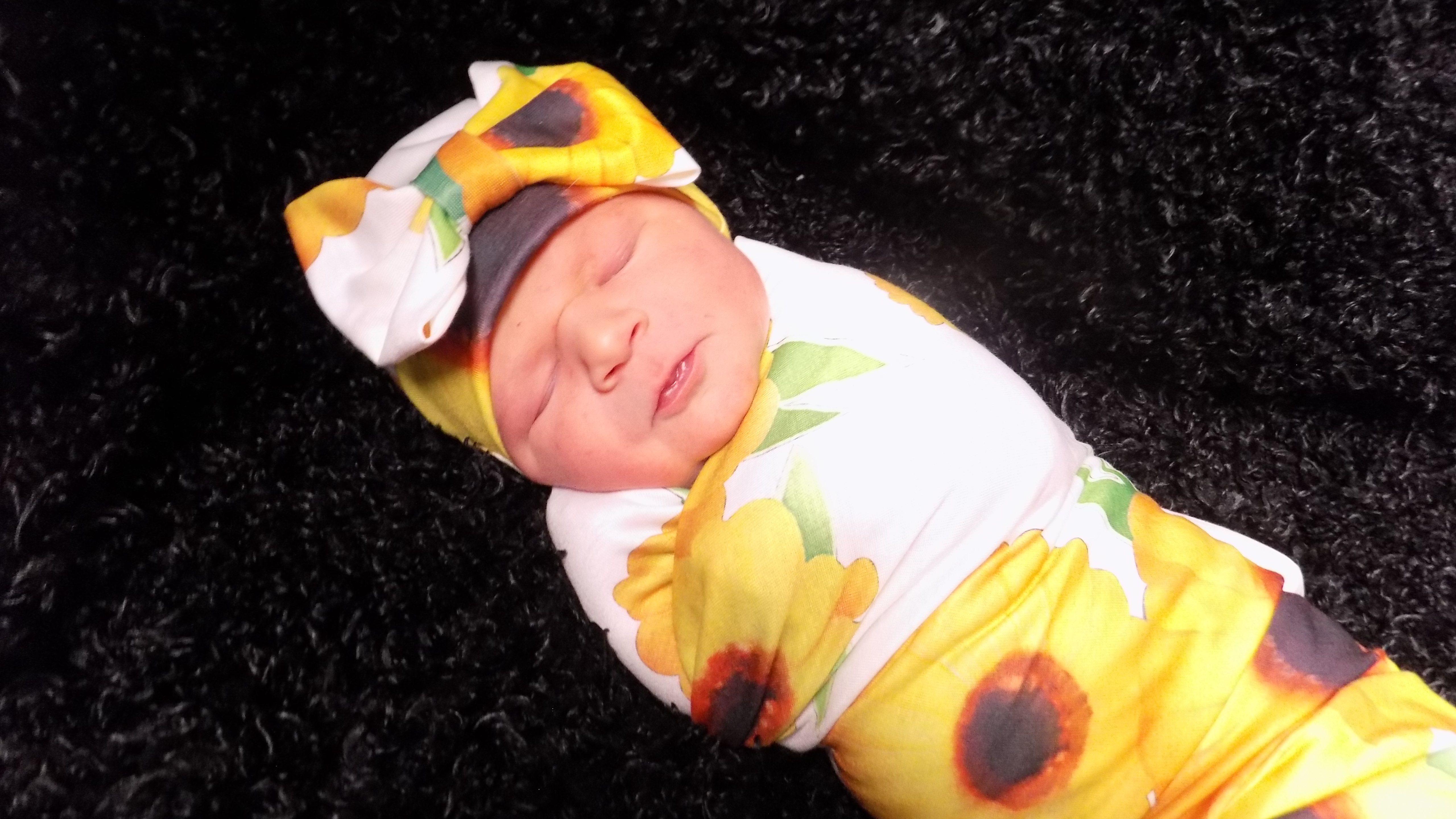 Adelaide June 3.17.26