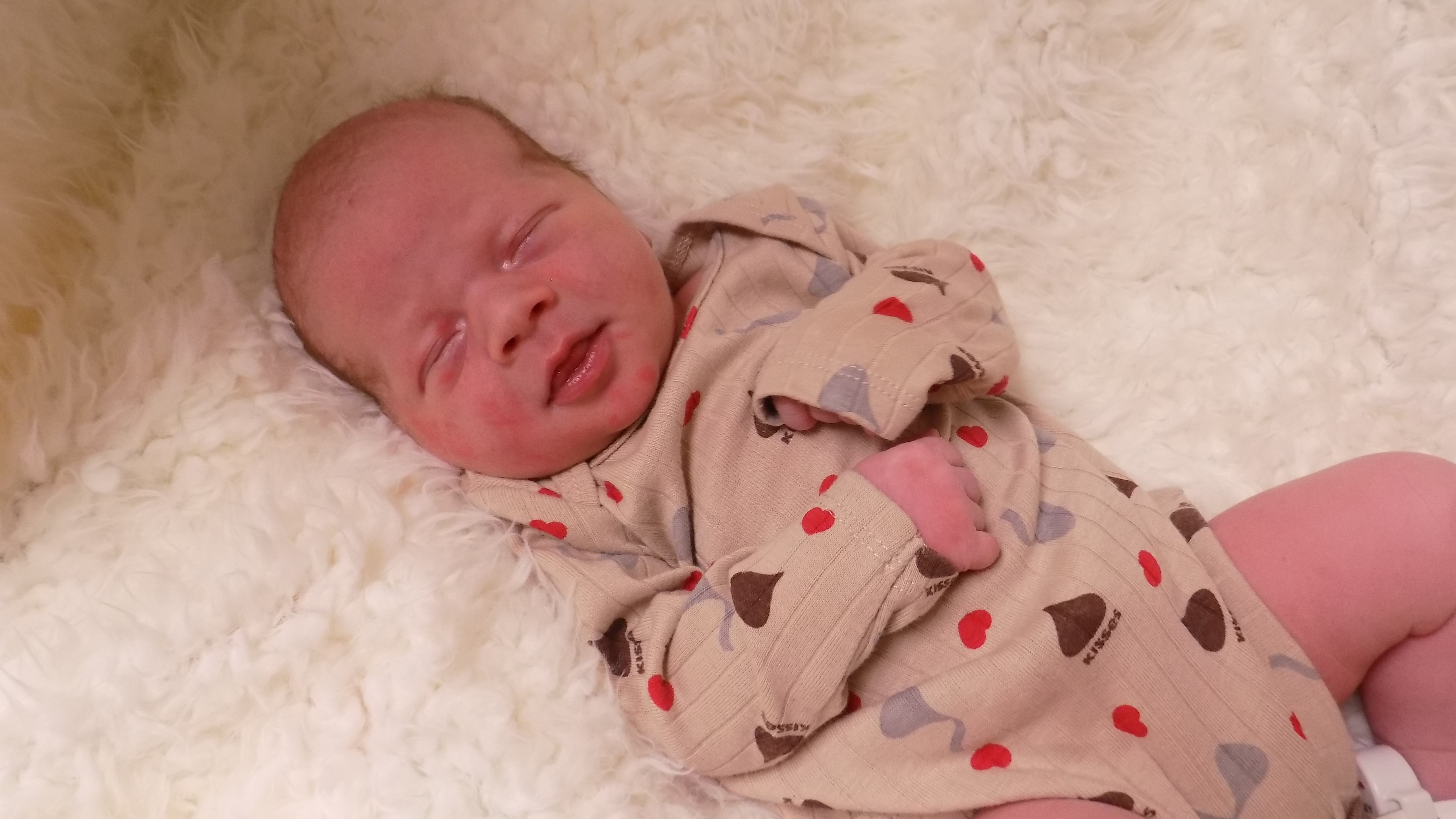 Ryder William 3.3.26