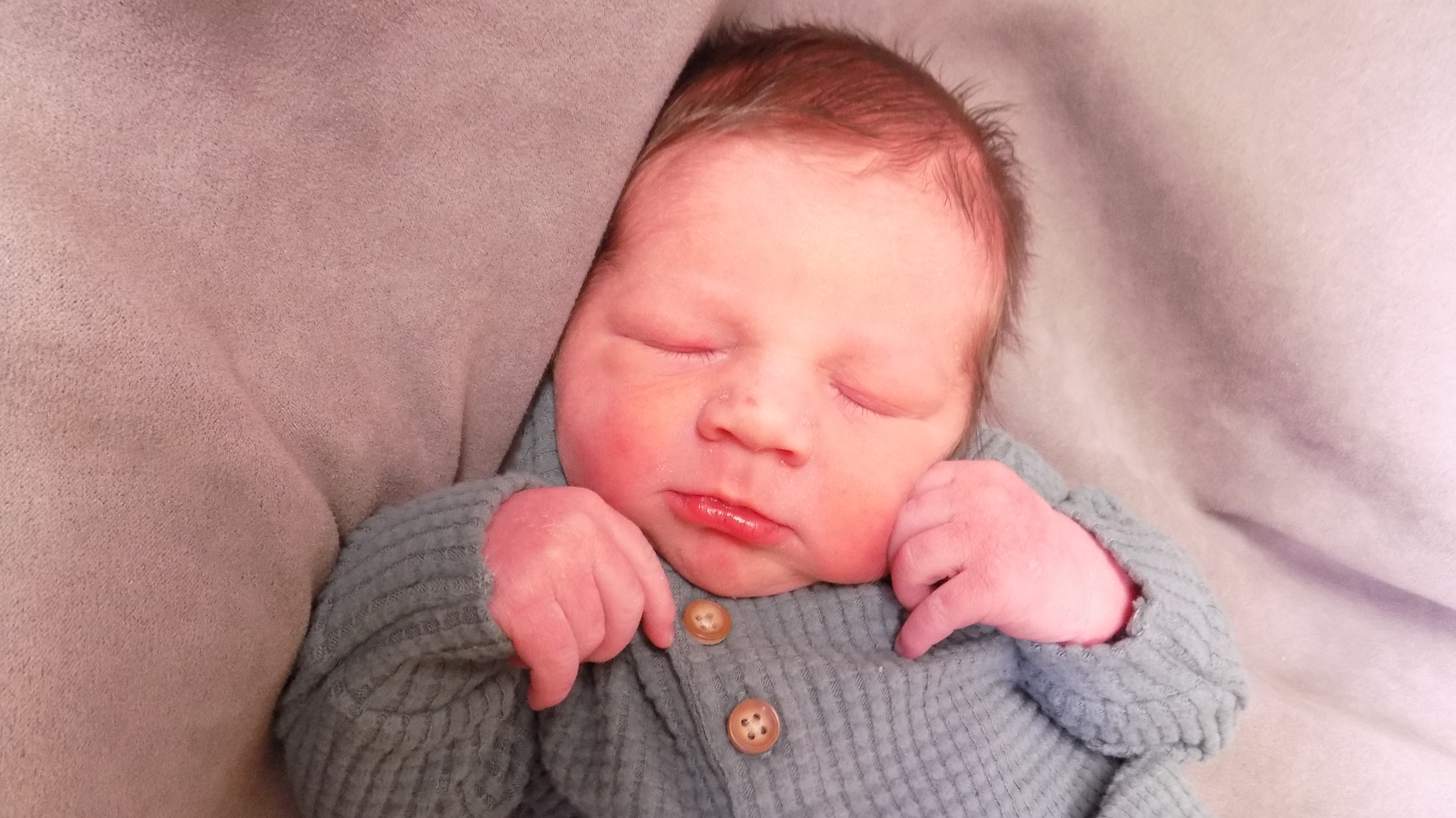 Koda Arcine 4.2.26 web