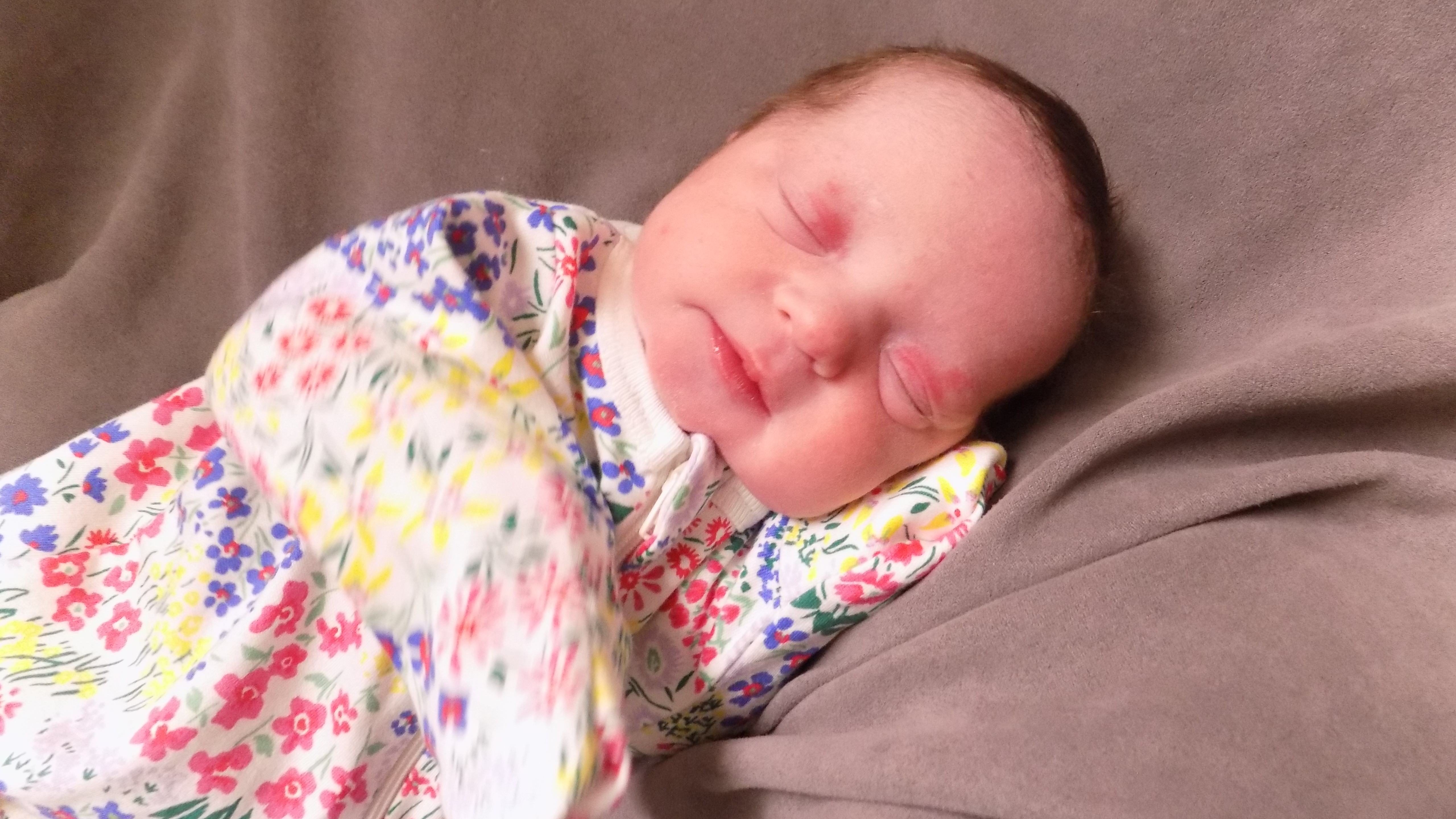 Persephone Ann Louise 4.20.26