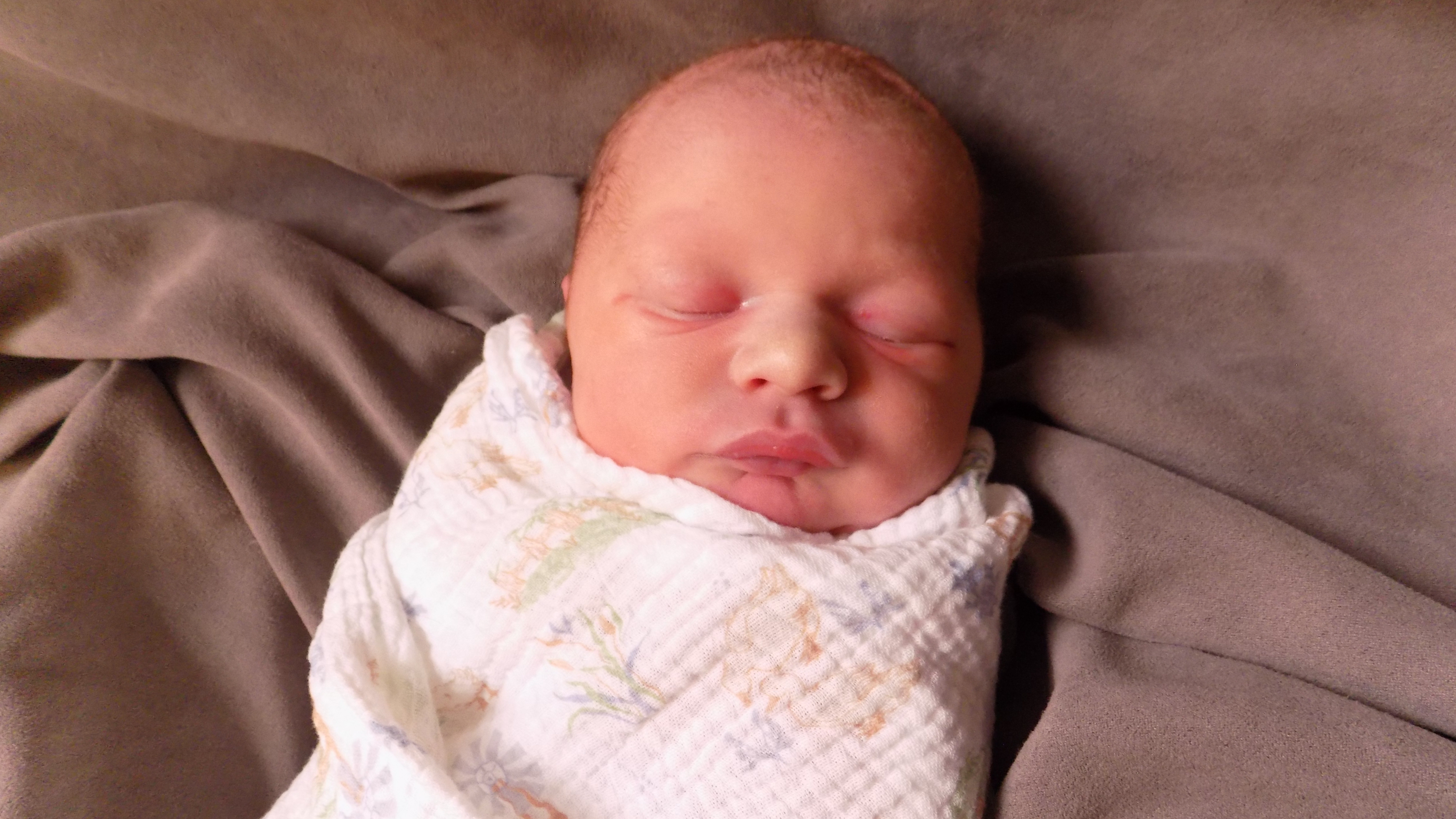 Judah Owen 5.25.26