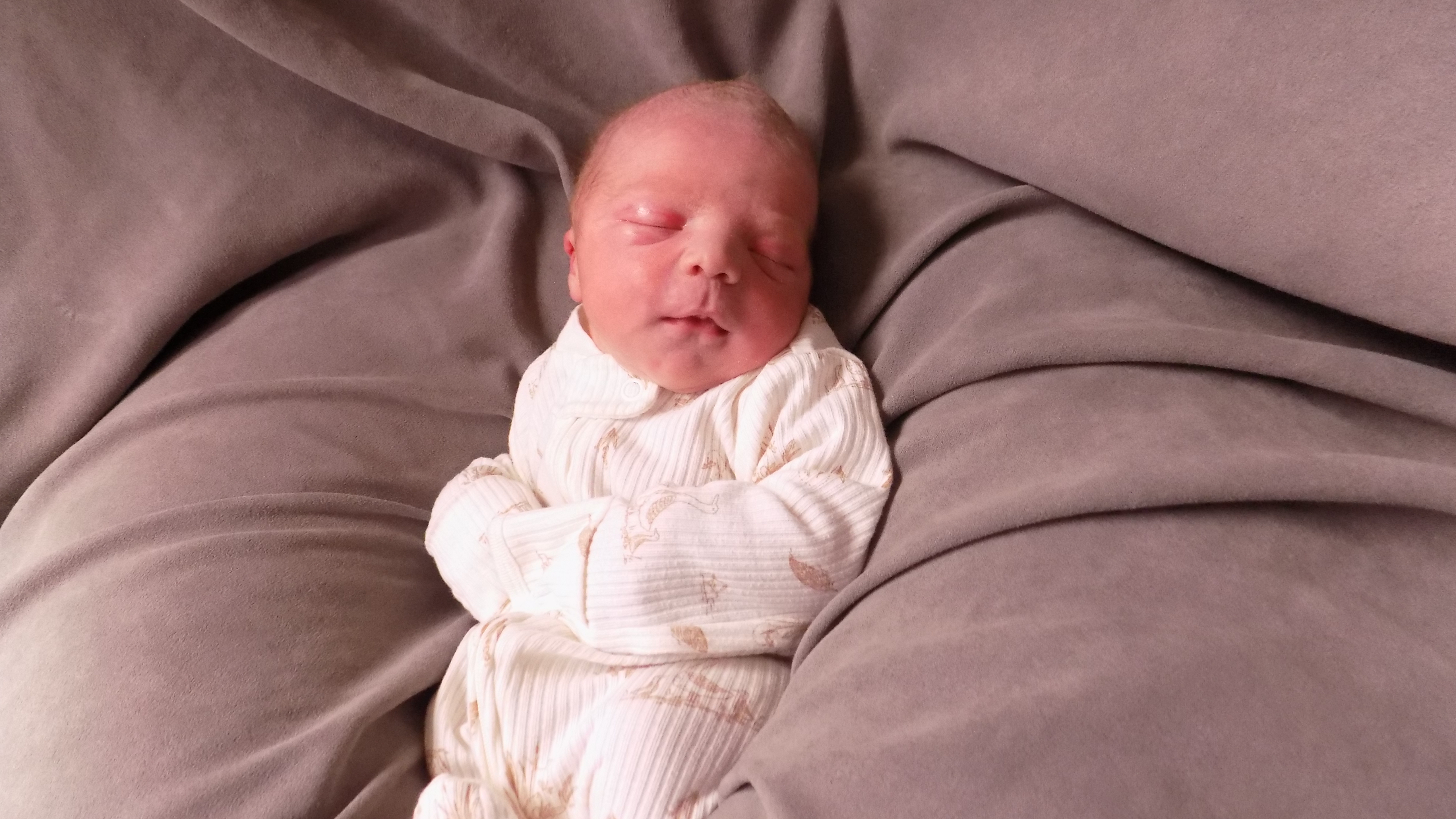 Tate Allen 5.10.26