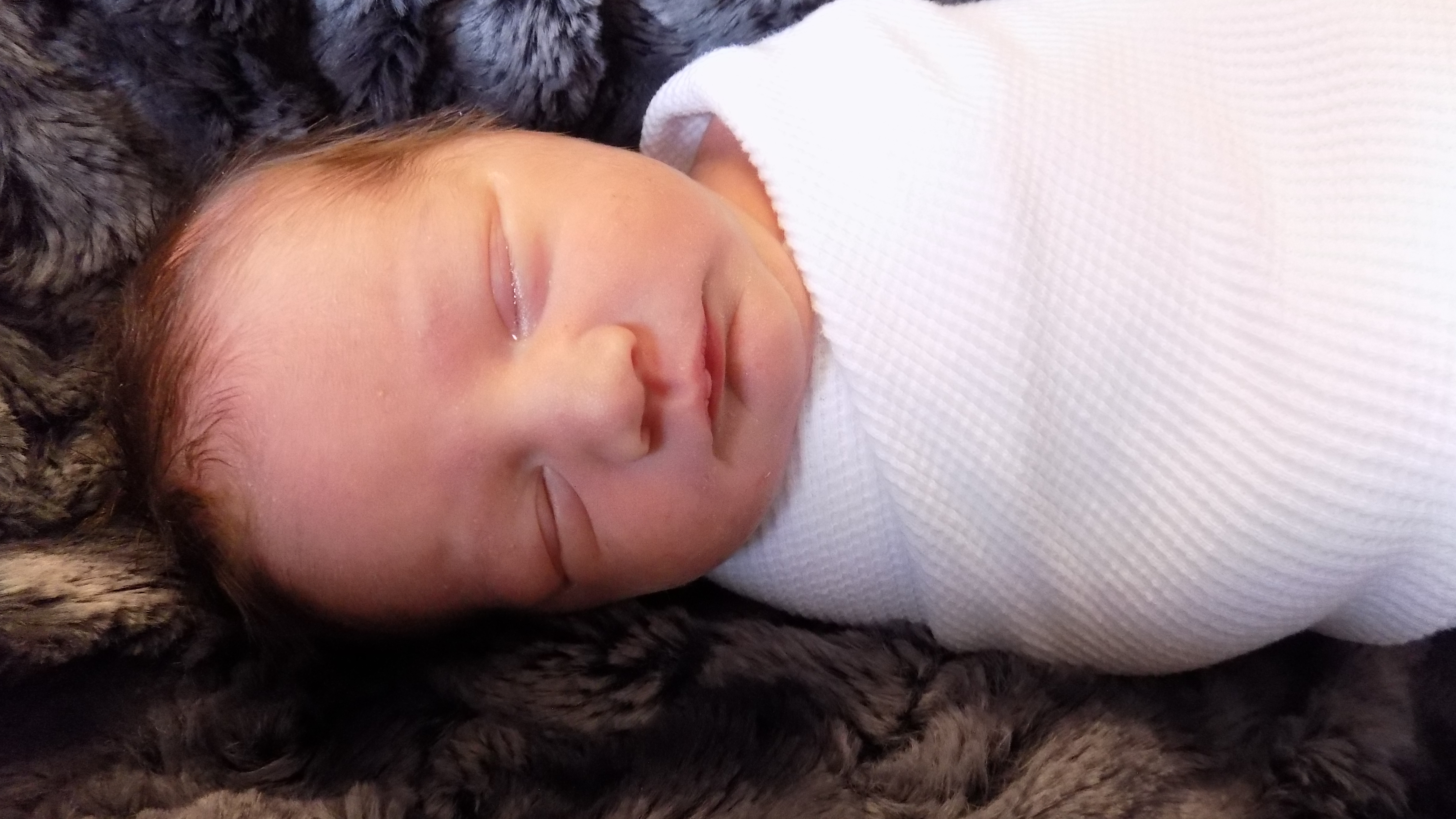 Kolter Wayne 6.11.26