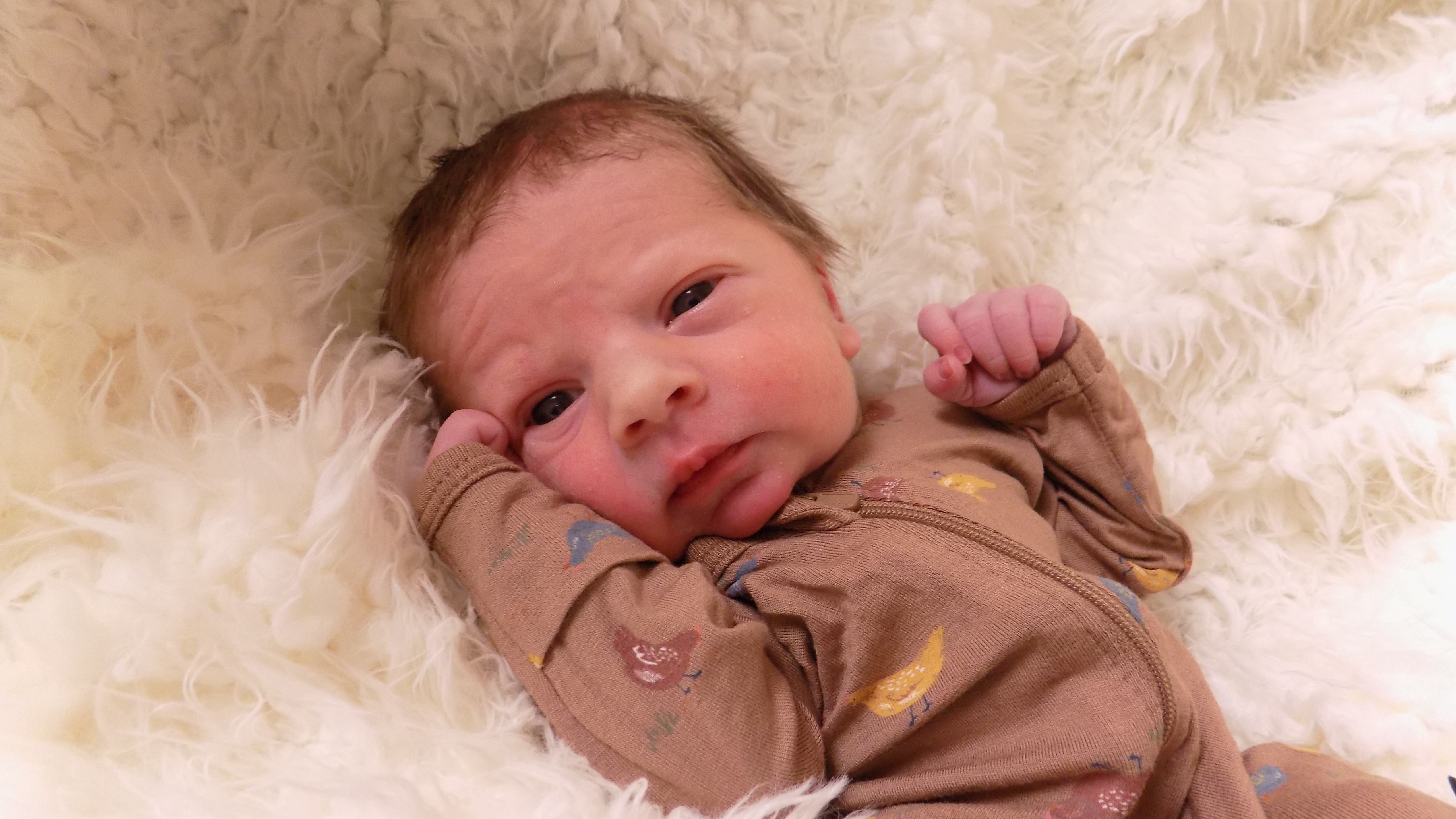 Maddox Scott 5.31.26