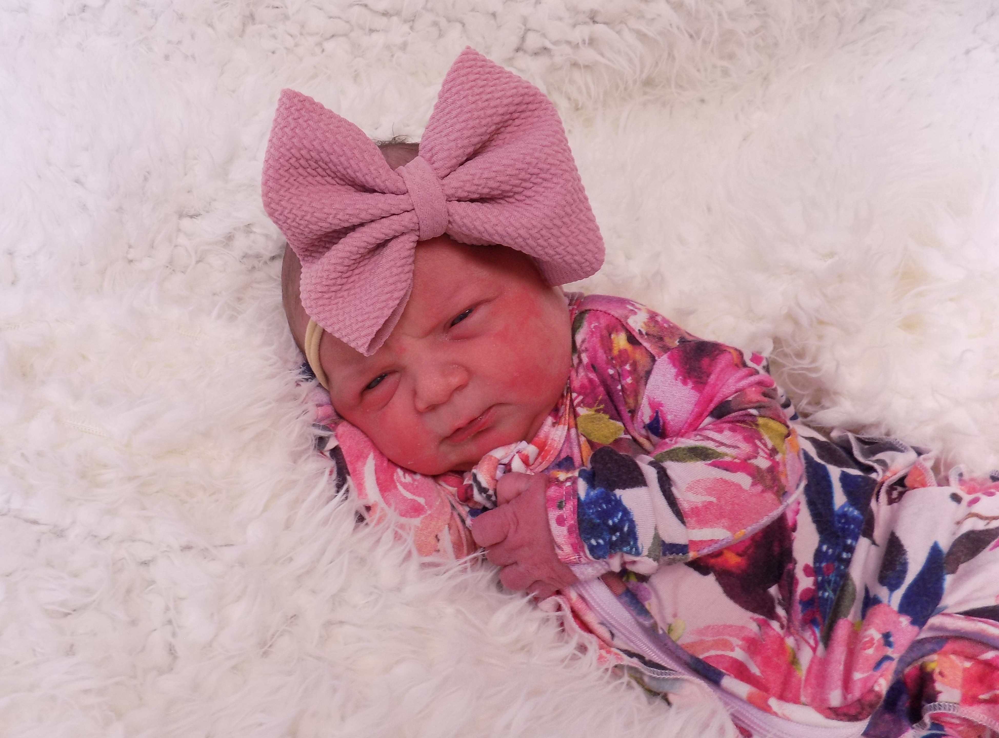 Evangeline Dael 6.26.26