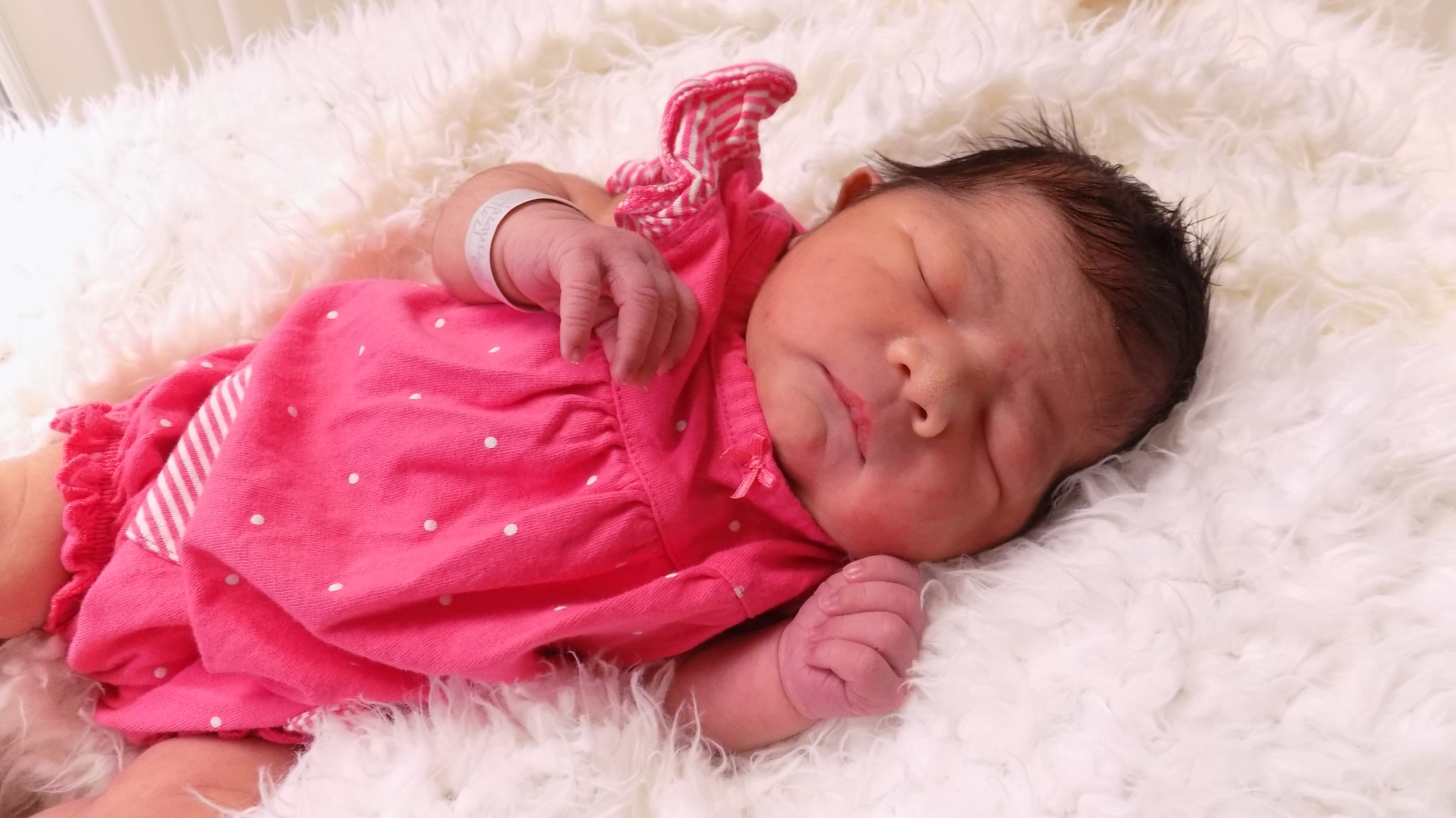 Zayla Bella 7.13.26