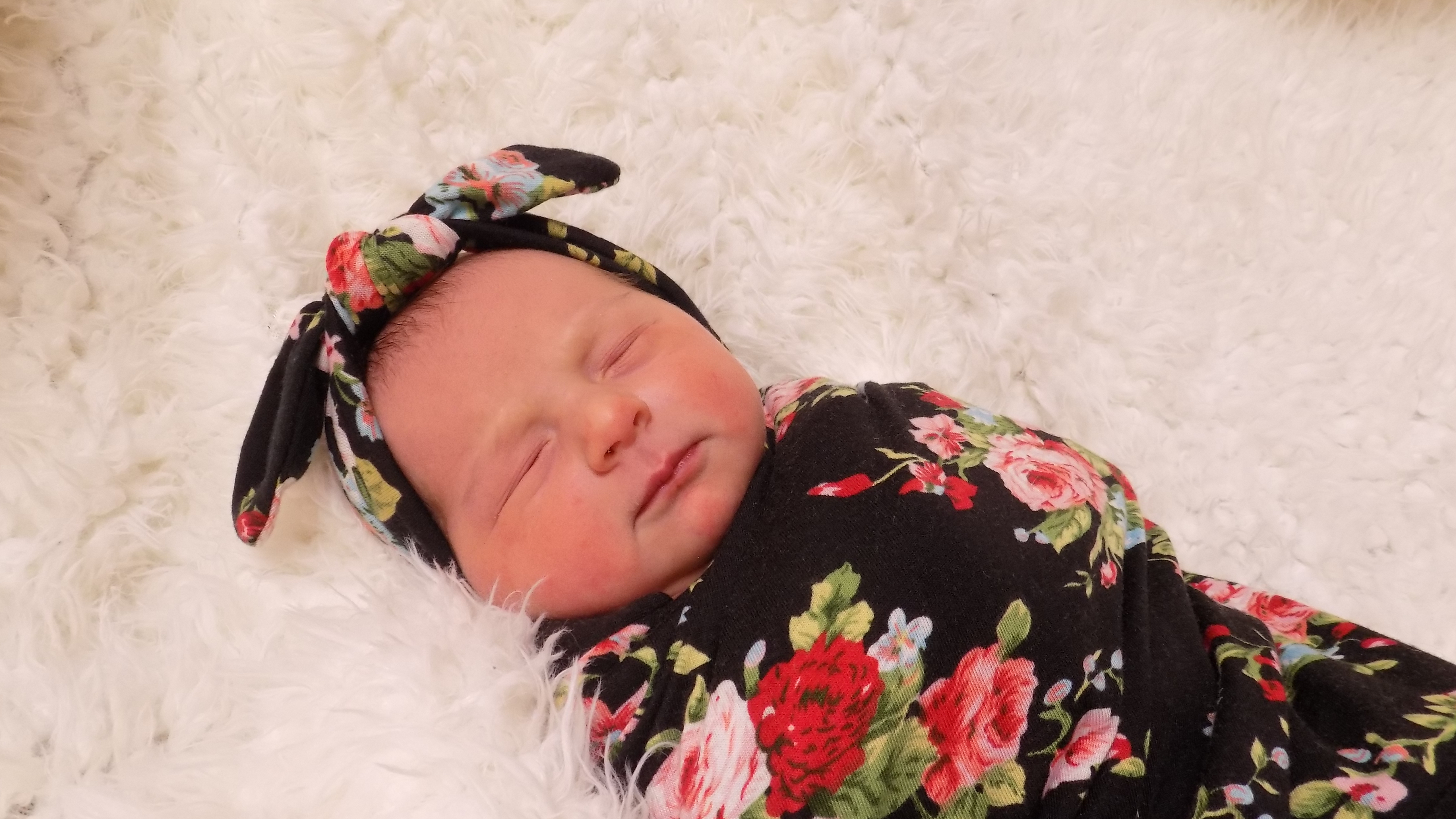 Amelia Rose 72226