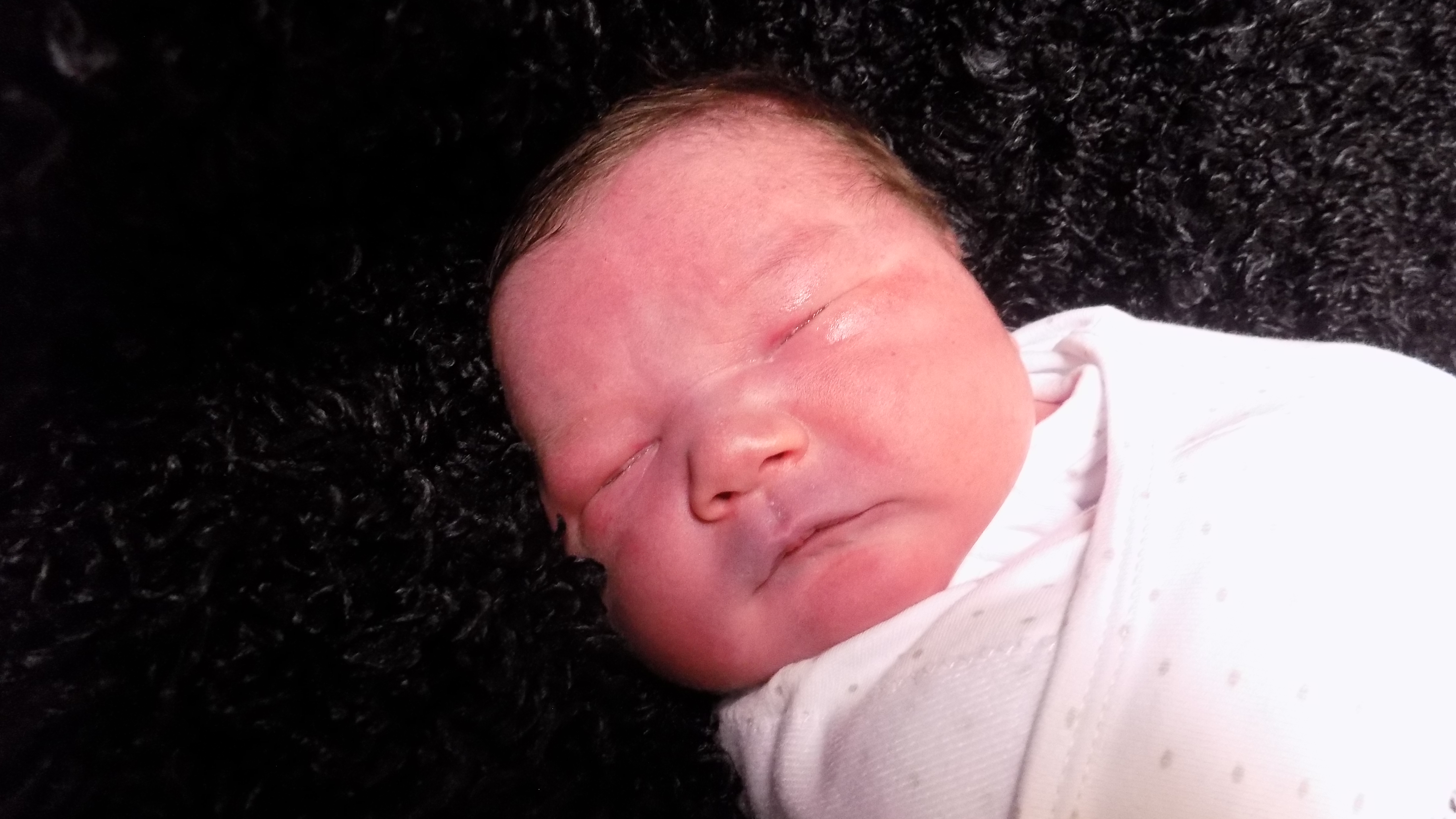 Kooper Wyatt 72326