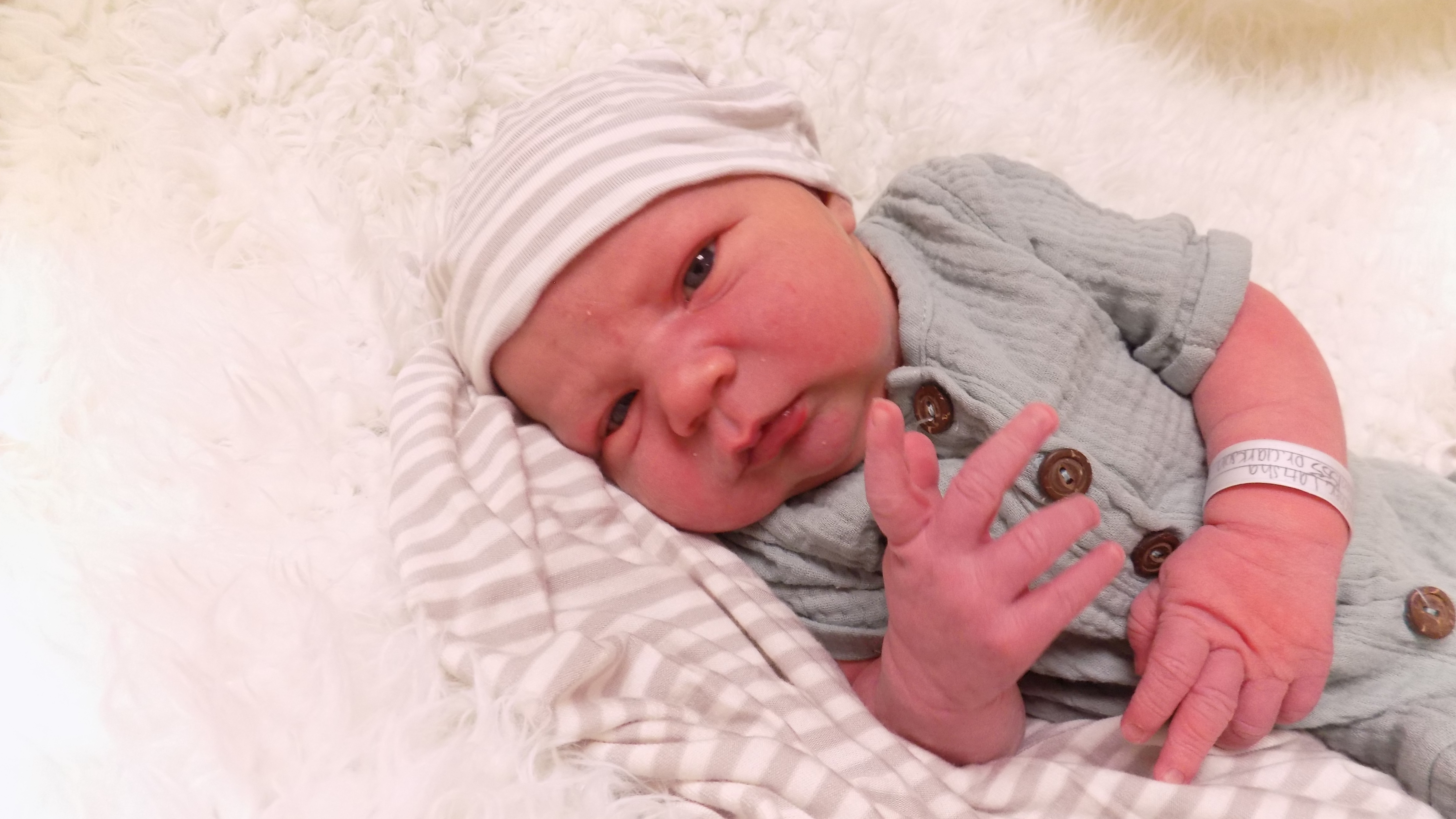 Landon Lee 71626