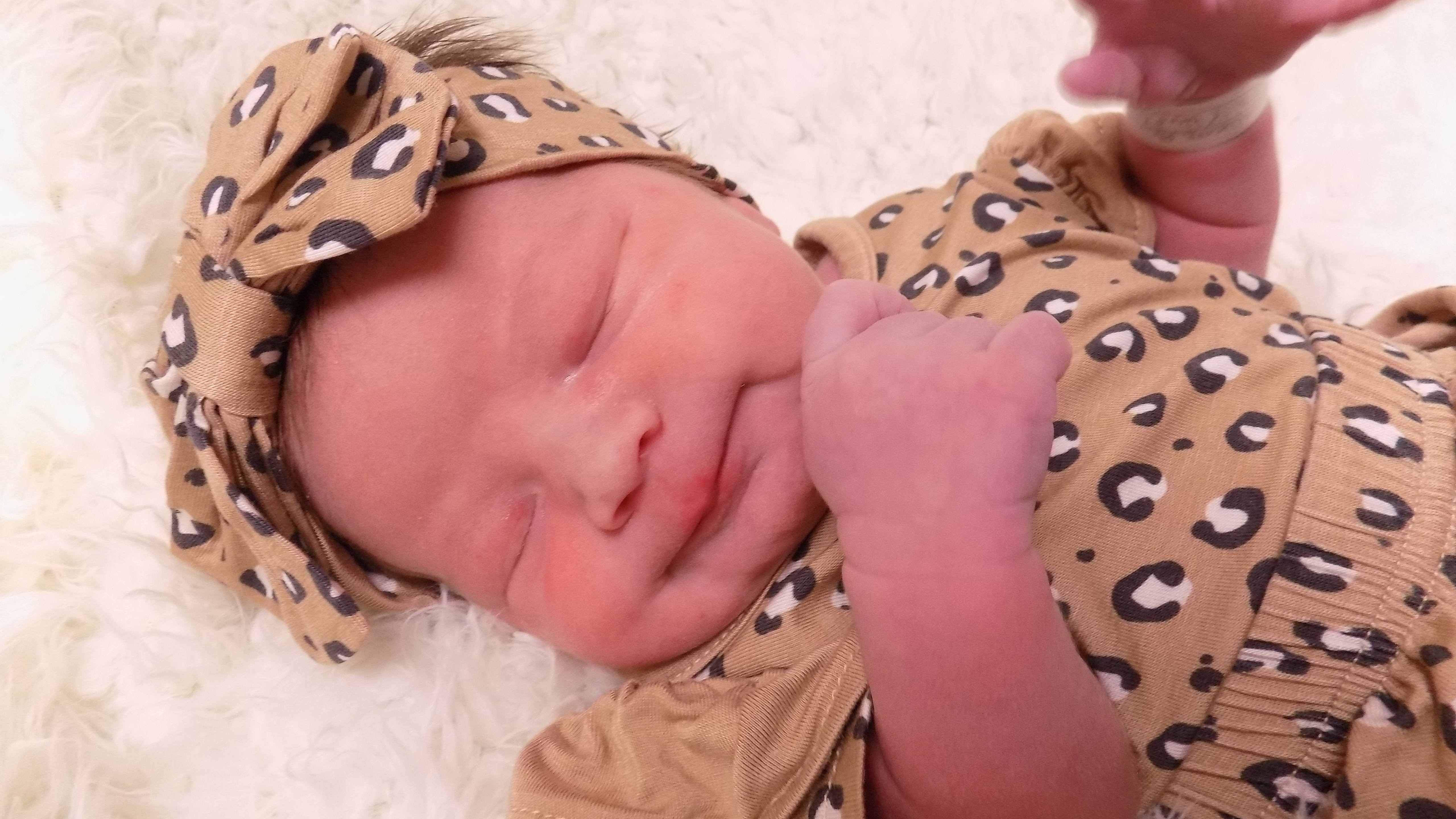 Lanie Diane 7.17.26