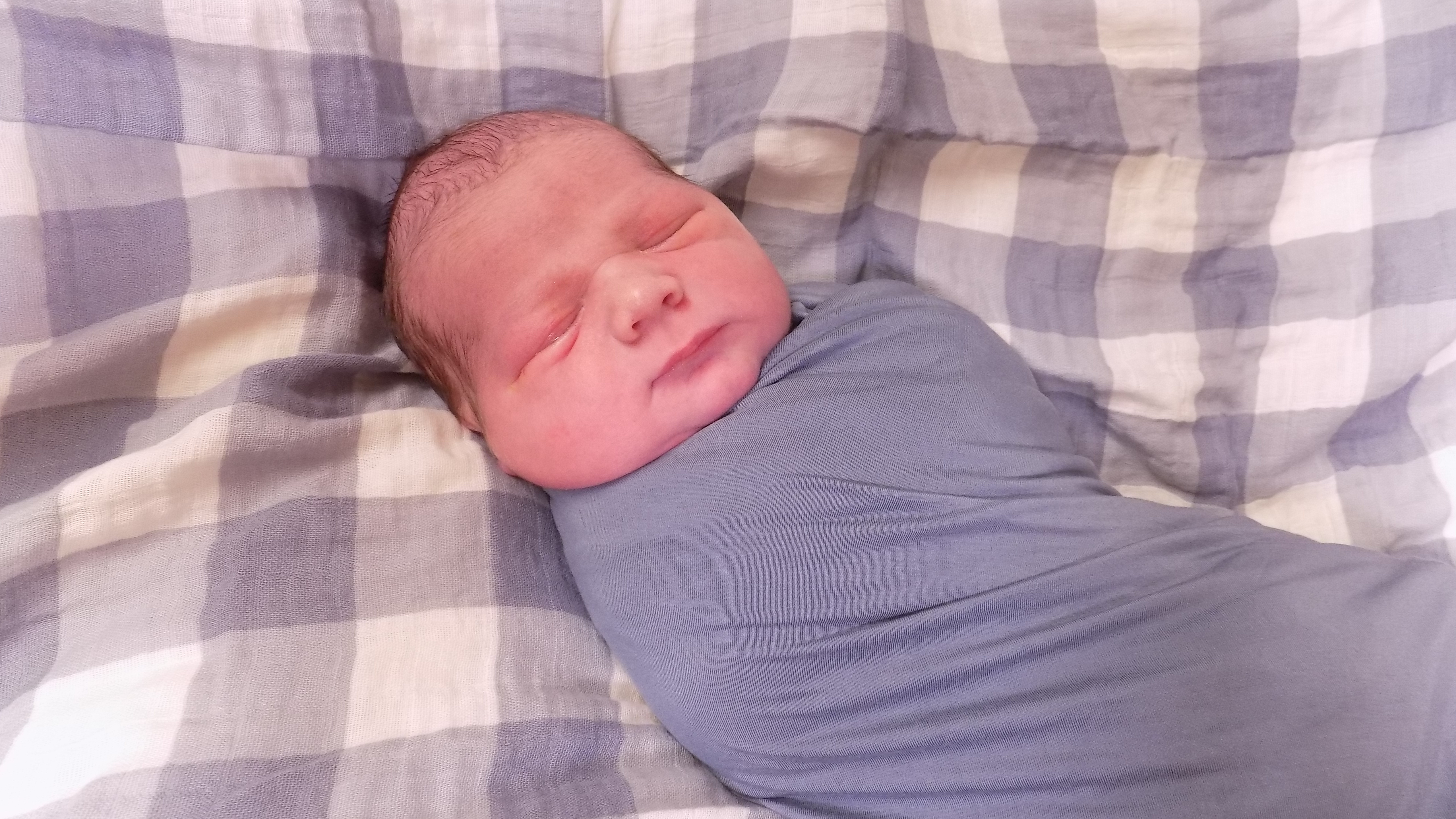 Cash Hayes 8.31.26