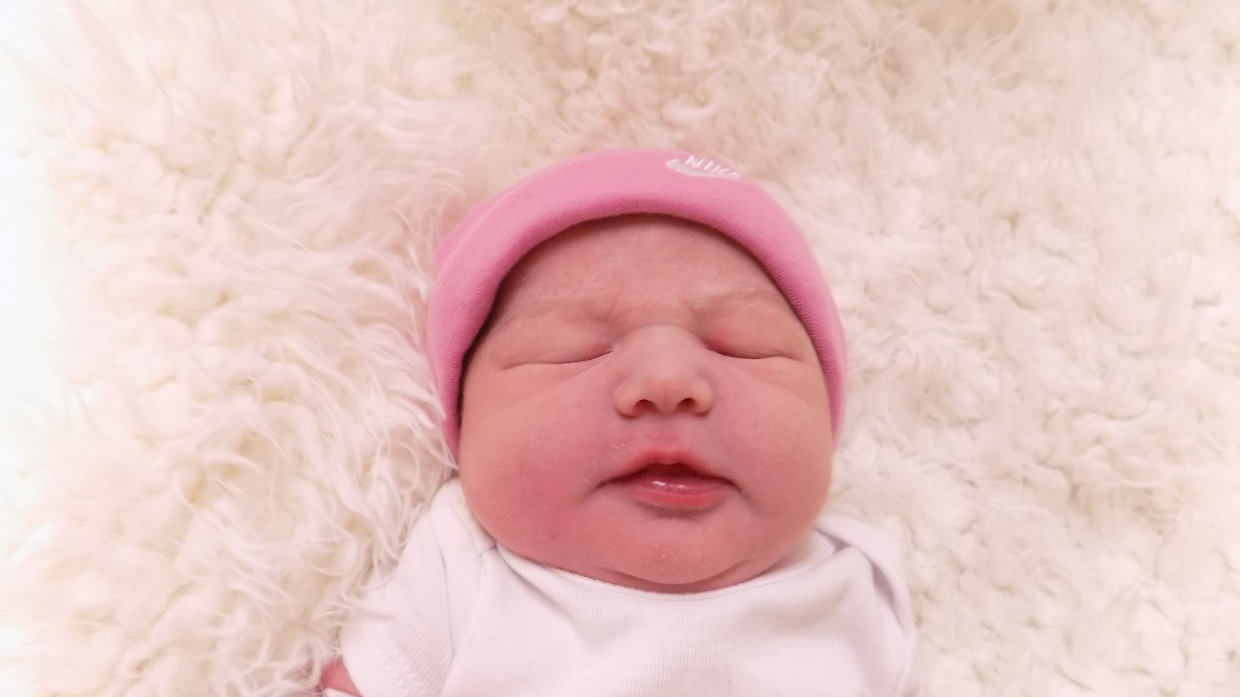 Ensley Ann 8.31.26