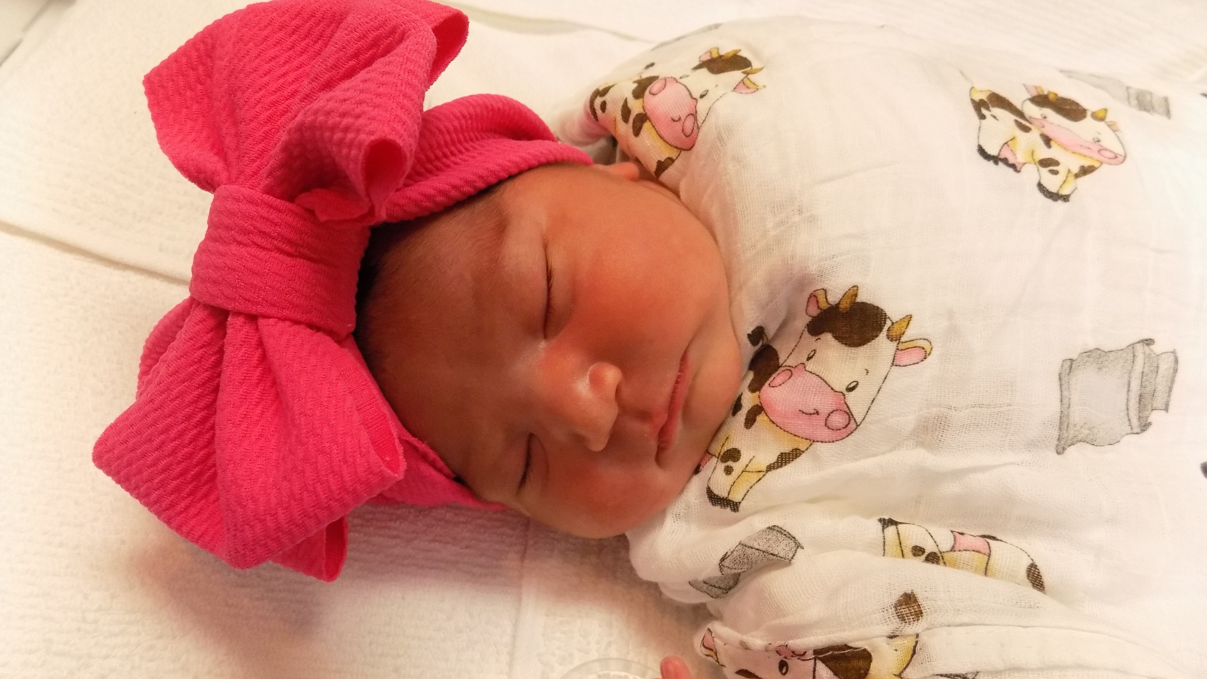 Yemily Bella Ross 8.24.26